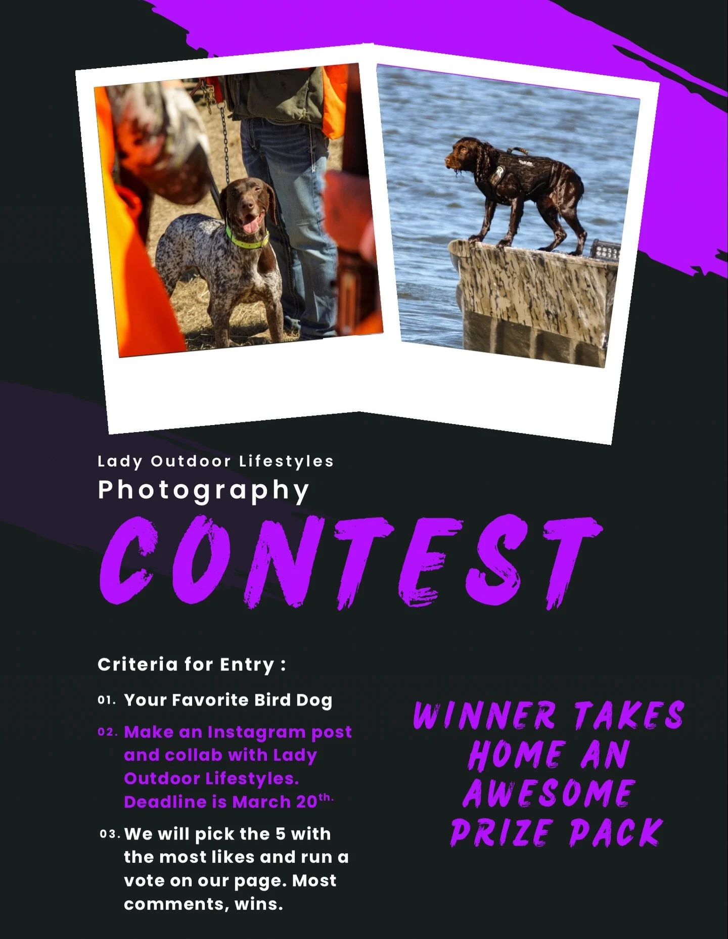 Lady Outdoor Lifestyles Photo Contest 🐾✨Bird Dog Edition is officially LIVE!

Show us your best bird dog moment &mdash; in the field, on point, or living their best life. Let&rsquo;s celebrate the heart behind every hunt. 🐶🪶

How to Enter: &bull; 