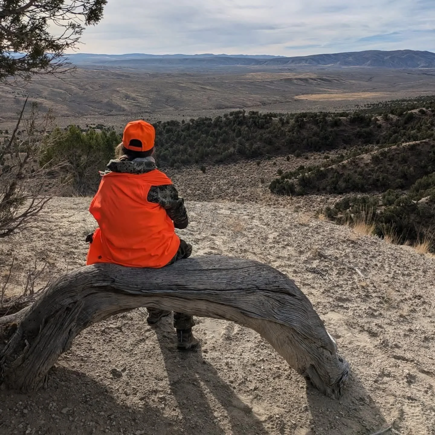 Hunt Like a Woman: Tips, Skills, and Confidence in the Field