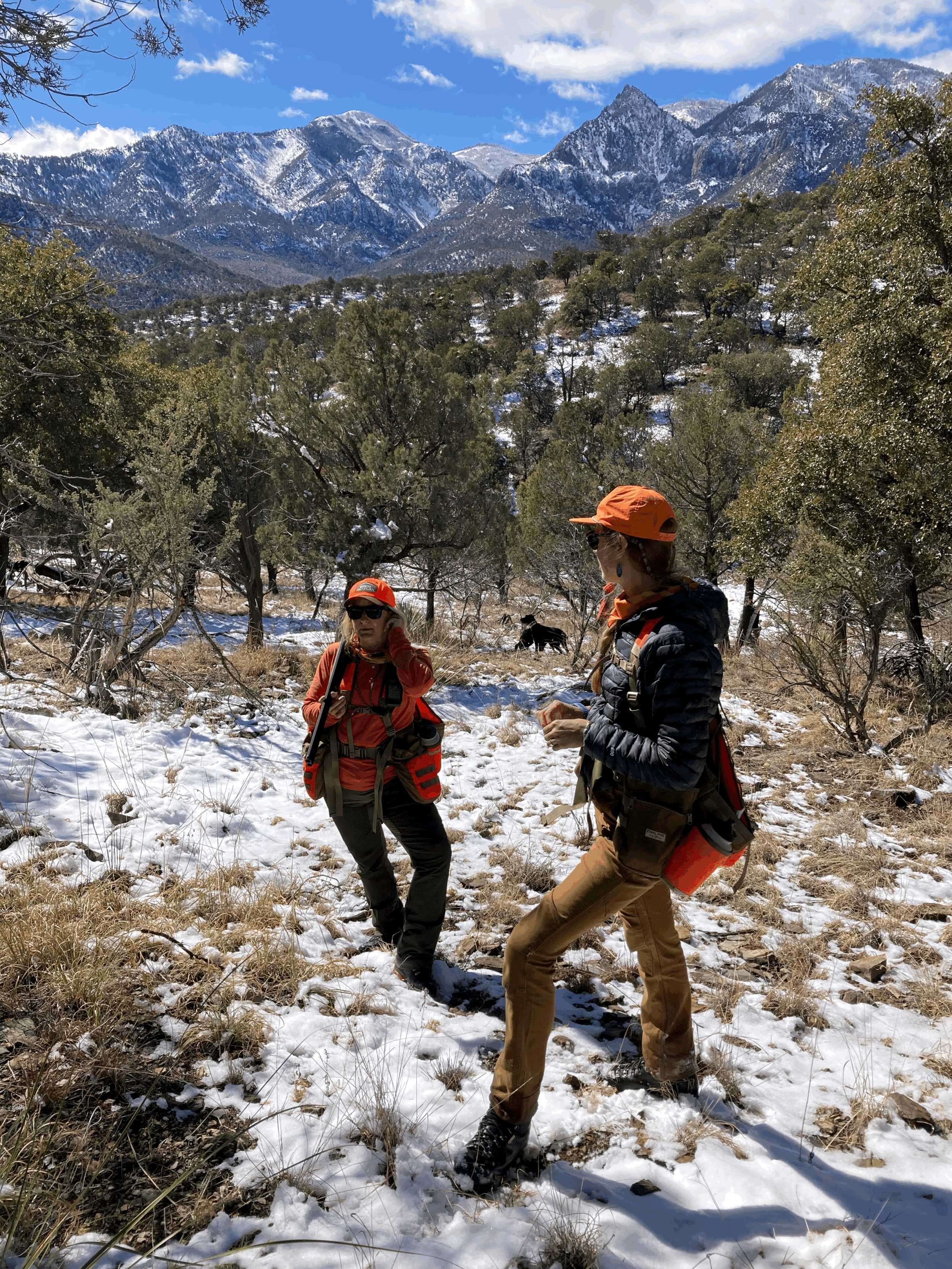Generations of Women Who Shoot: Past, Present, and Future