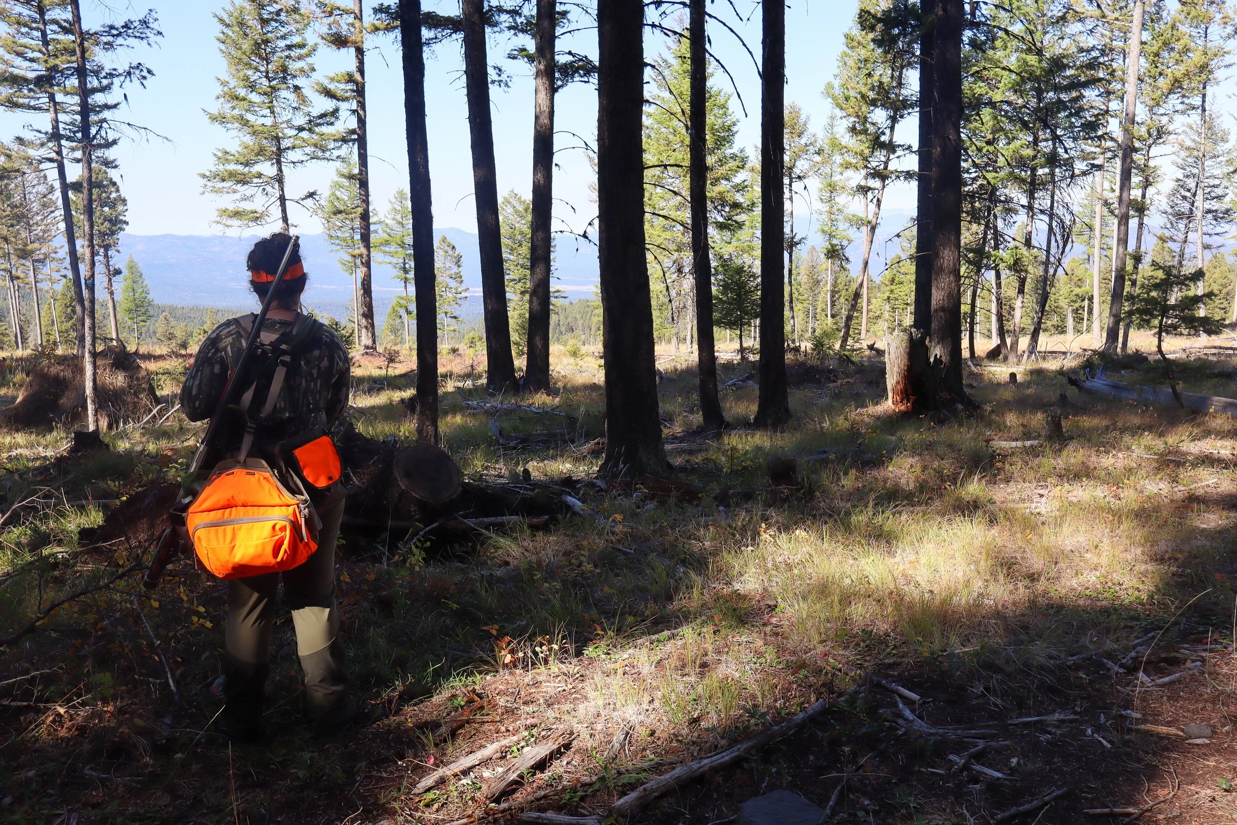 Why the Beretta A400 Is One of the Best First Shotguns for Women