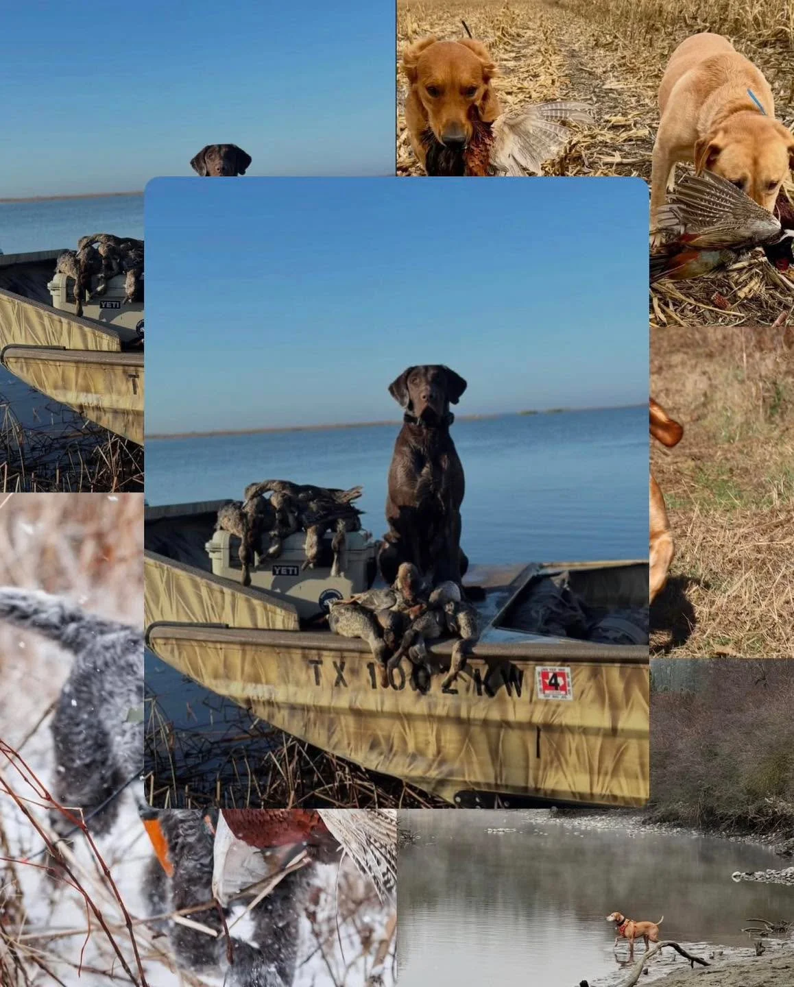 Huge congratulations to Ms. Lauren, our Lady Outdoor Lifestyles Photo Contest &ndash; Bird Dog Edition WINNER! 🐾🏆 

Your photo captured everything we love about the bond between hunter and dog&mdash;grit, loyalty, and heart.

Lauren, keep an eye on
