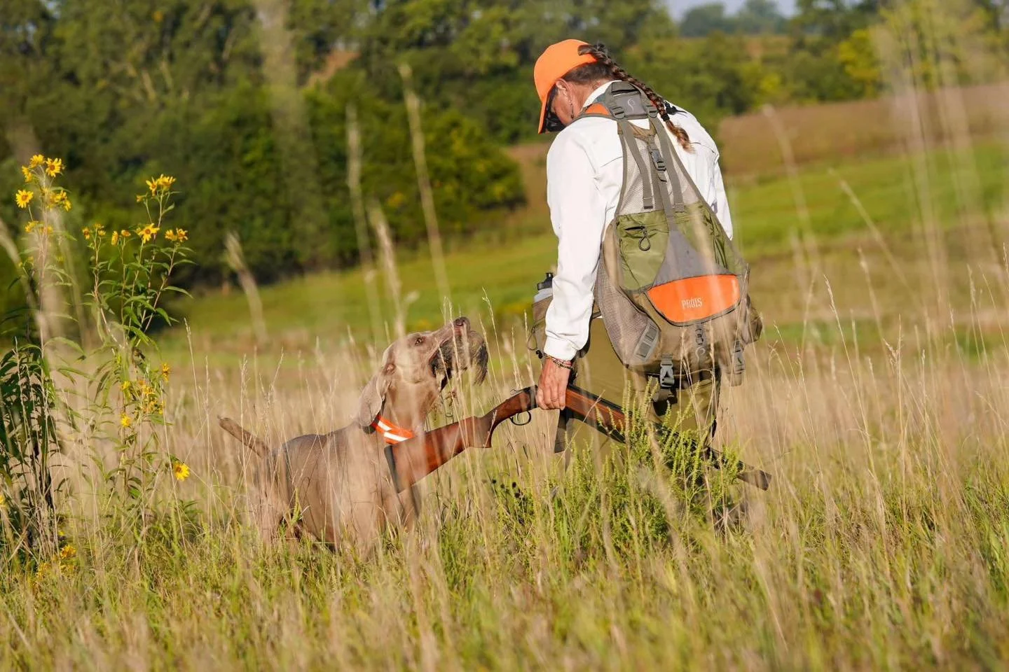 &ldquo;VC Sunstone&rsquo;s Got A Lucky Star passing the NAVHDA 2025 invitational in Iowa in September&rdquo; 

- Britt Emanuel 

📸 Waylon Lunn