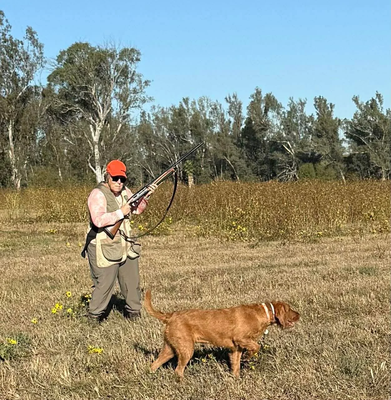 &ldquo;At the age of 70, we became the proud owners of a Hungarian Wirehaired Vizsla. Recognizing her drive to hunt, my husband started training her. After watching for a couple of years, I decided to be part of what was going on I needed to learn to