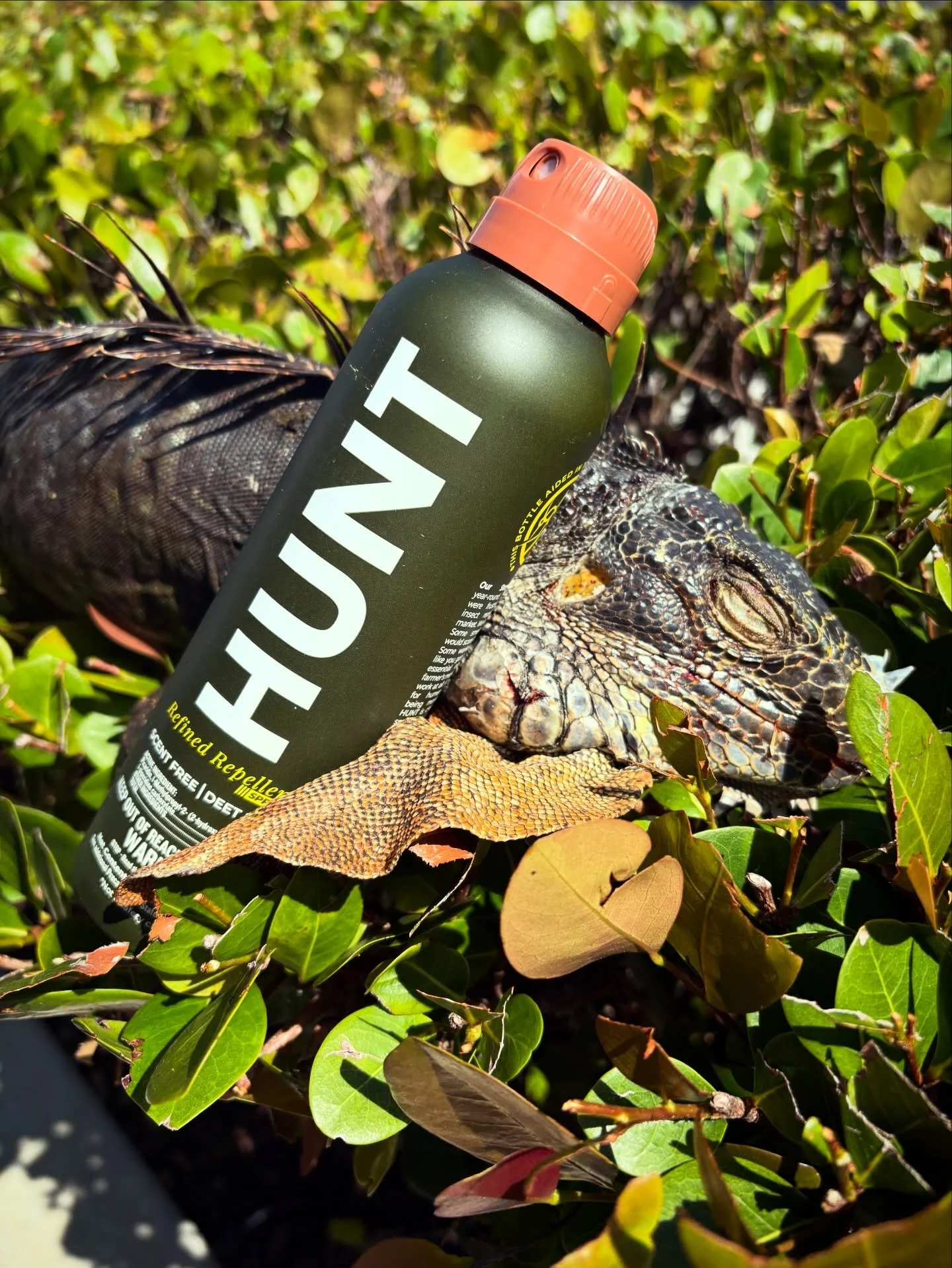 Florida iguana hunts come with heat, bugs, and everything in between&mdash;don&rsquo;t let that ruin the experience. Stay focused on the hunt and let Hunt Repellent handle the rest. 🐊🌴