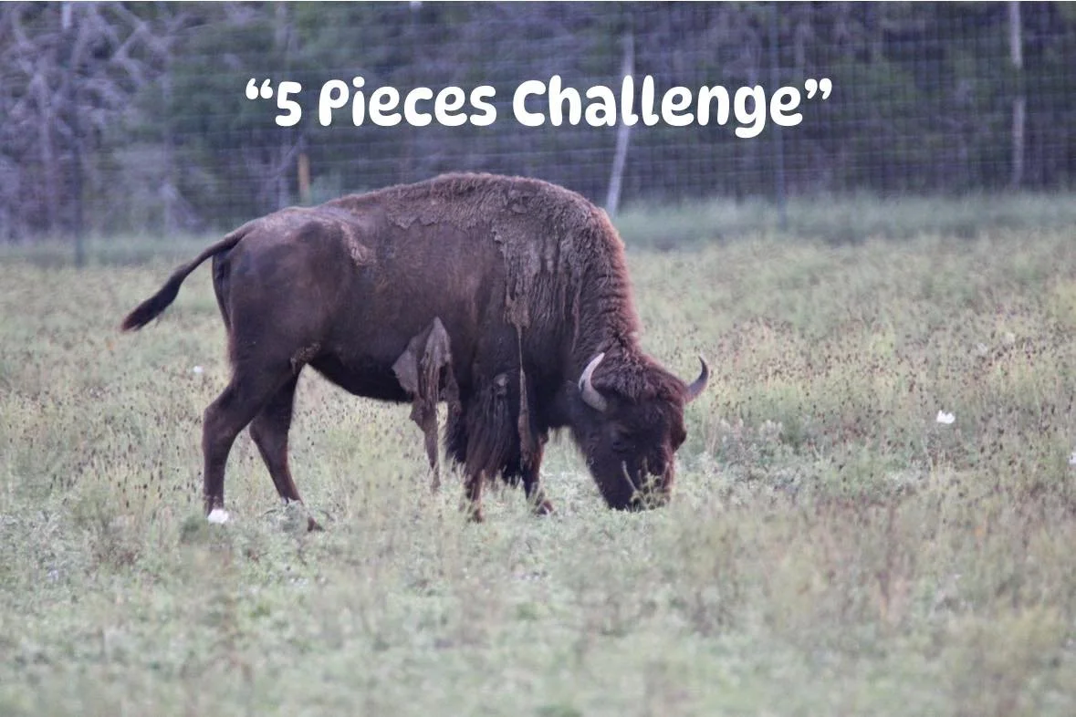 &ldquo;5 Pieces Challenge&rdquo;

If you walk past trash and don&rsquo;t pick it up&hellip; you&rsquo;re part of the problem.

So here&rsquo;s your challenge:
Pick up 5 pieces of trash every time you&rsquo;re outside. That&rsquo;s it.
No excuses. No 
