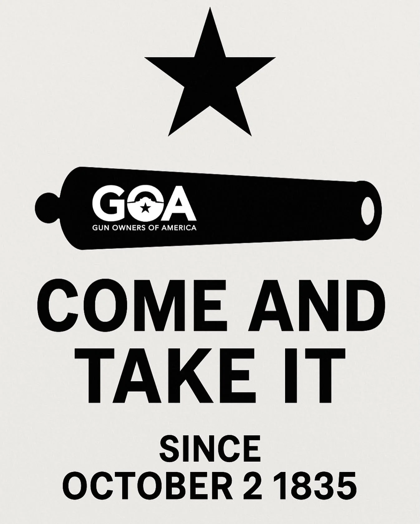 What Does Gun Owners of America Texas Actually Do?
