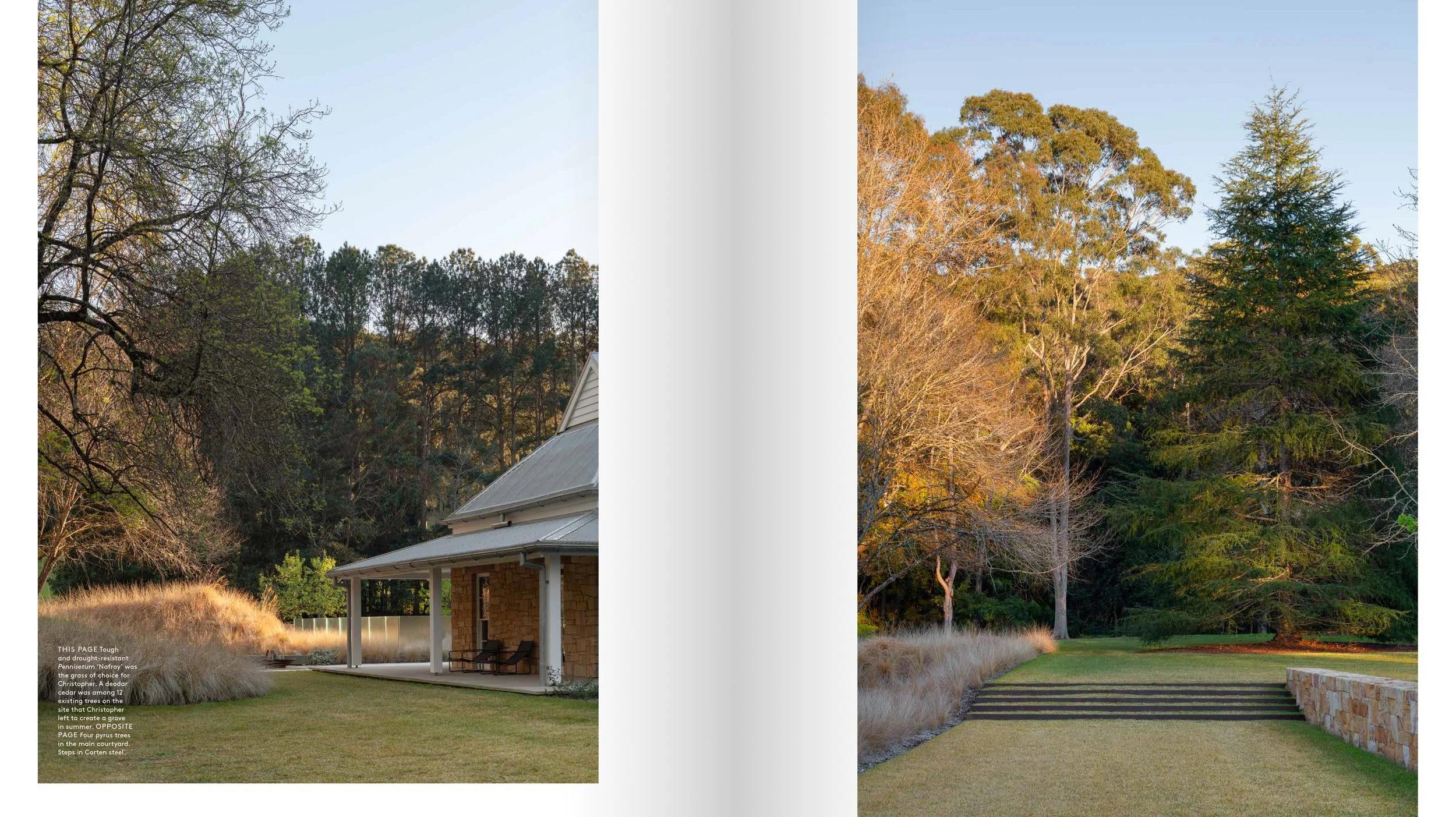 Landscapers_Christopher Owen_3.jpg