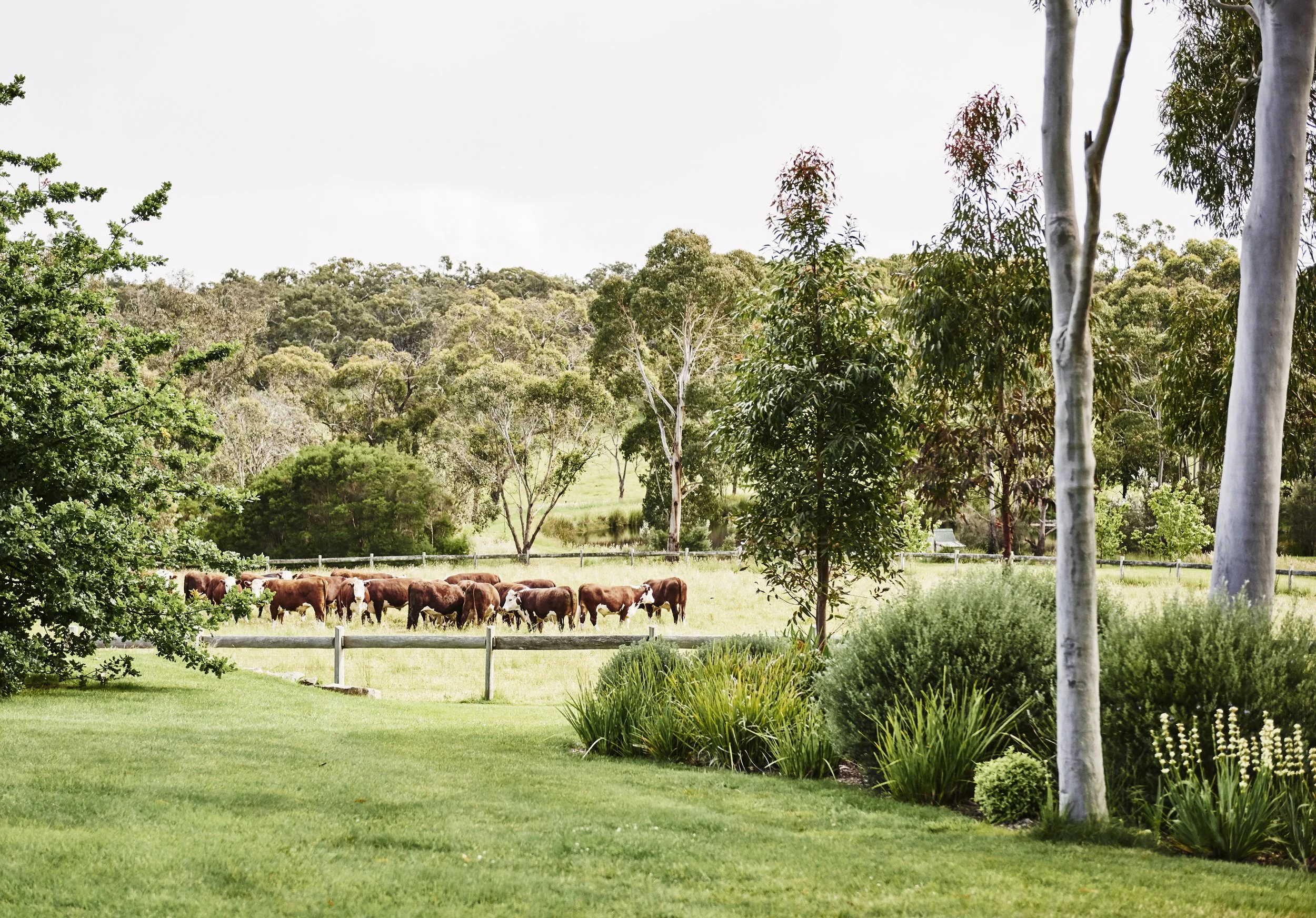 Adelaide Bragg & Associates
