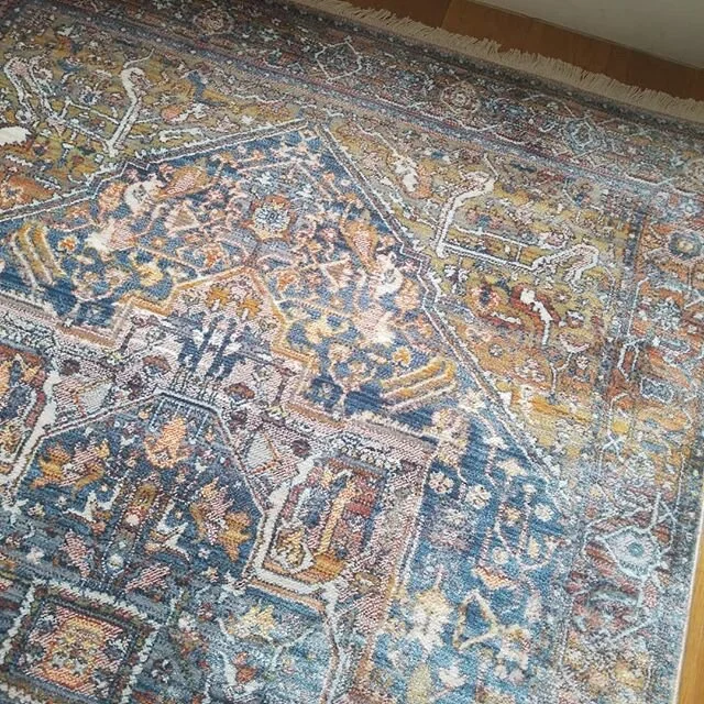 WFH is dangerous on the online shopping wallet!  Here the latest addition to the home office: Edessa Tribal Medallion area rug in Rust from @rugs_usa 
Vintage-inspired without the price tag OR commitment.
#interiordesign #interiors #interiordesigner 