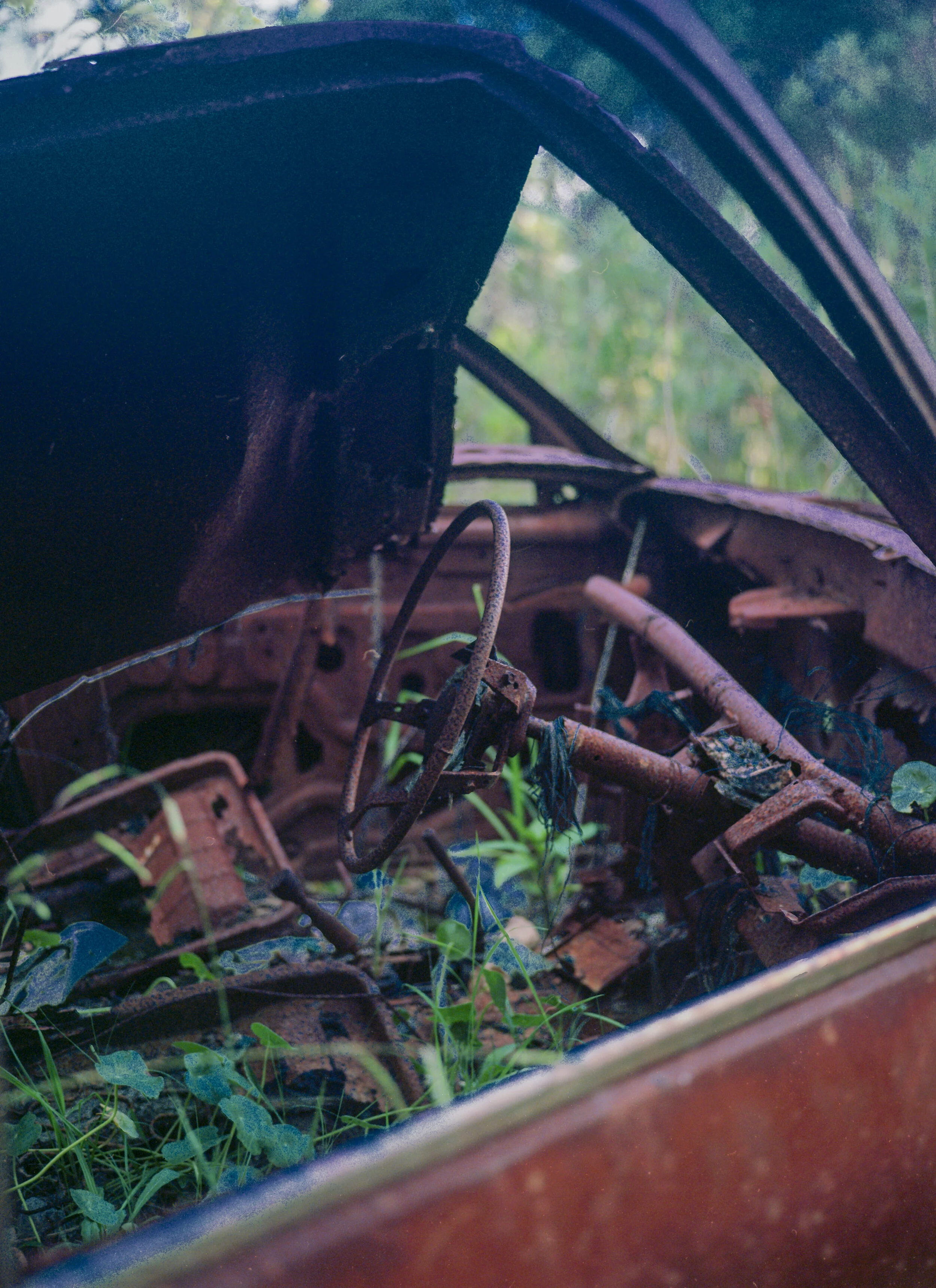 Mamiya7ii ektar100 10-2.jpg