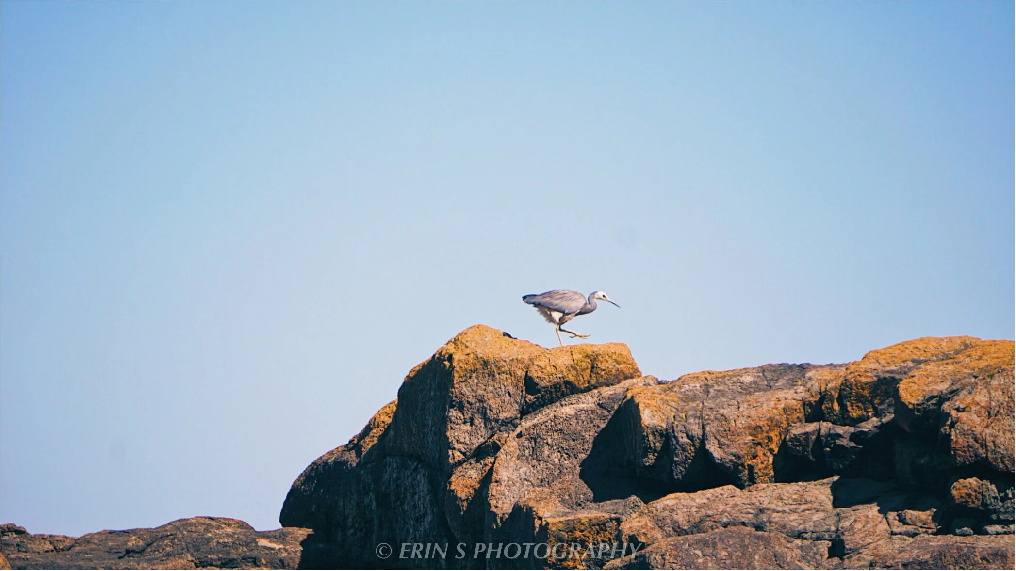 Screen Shot 2020-02-06 at 11.50.47 pm.jpg