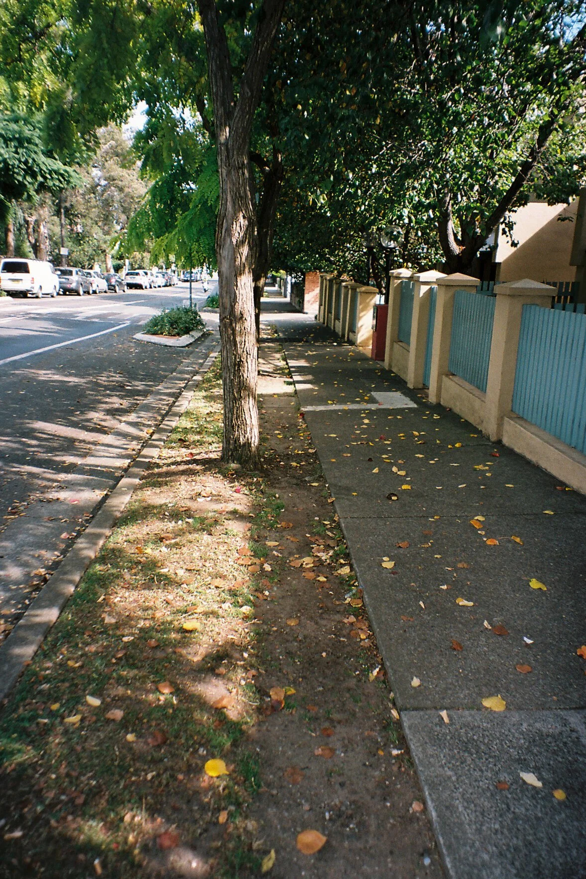 Kodak portra 160Minolta capios Riva 75w01.jpg