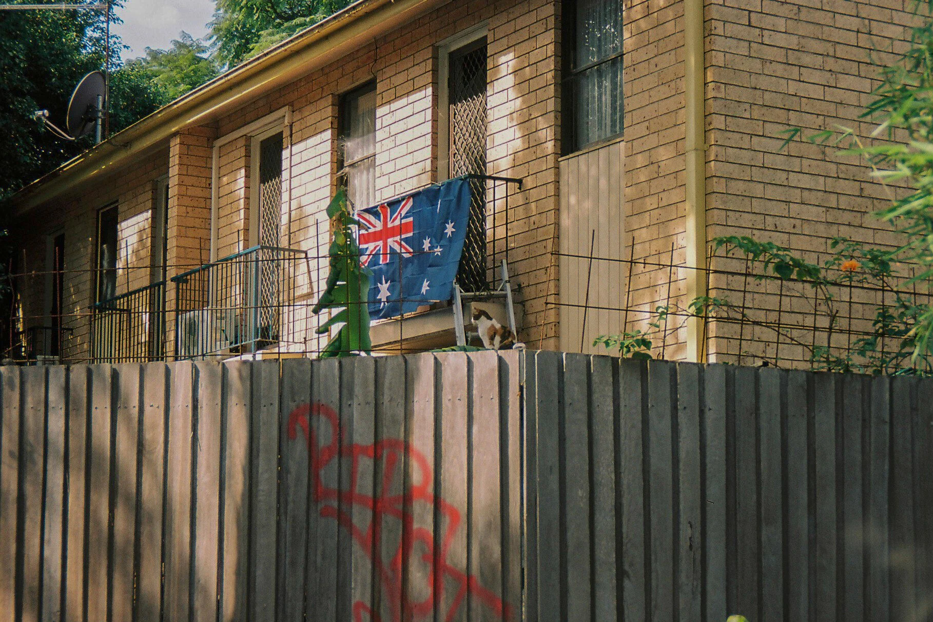 Kodak portra 160Minolta capios Riva 75w21.jpg