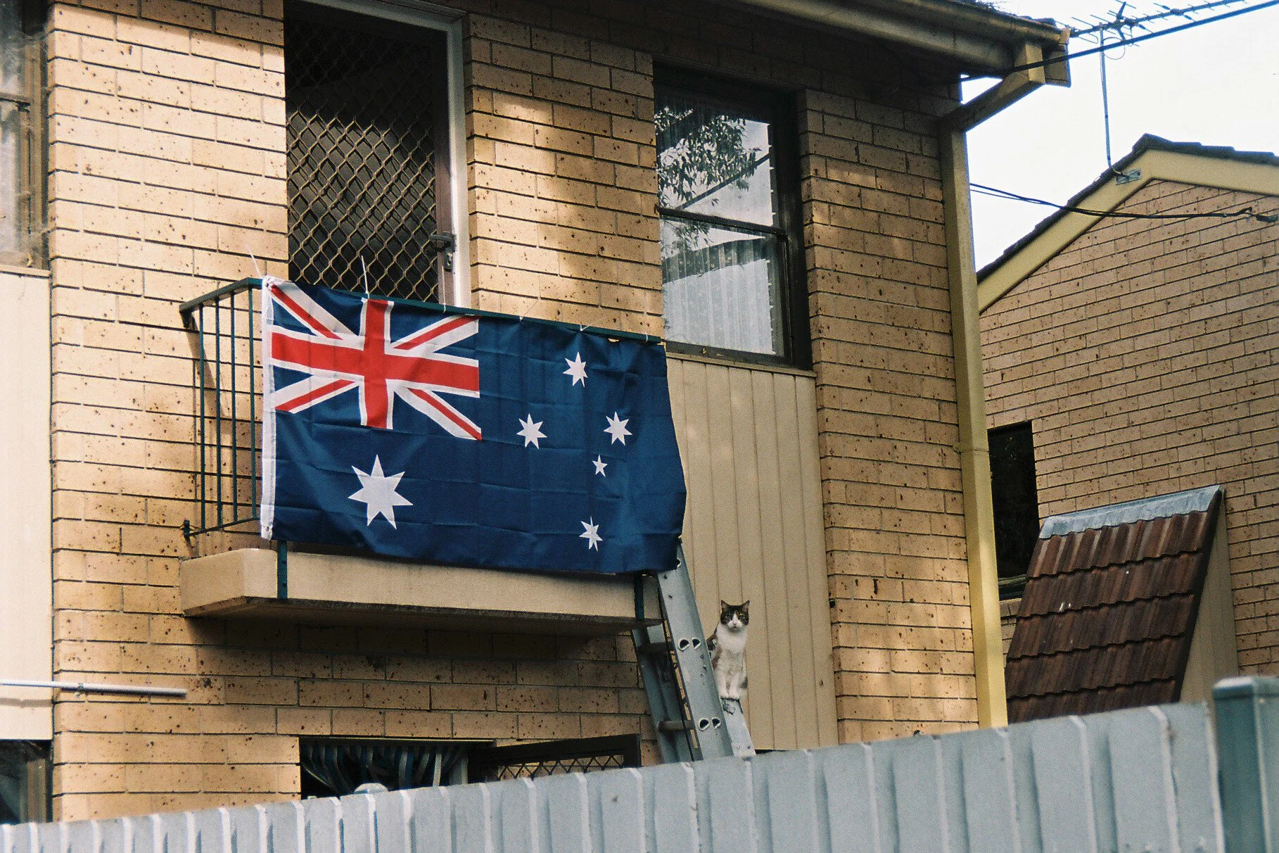 Kodak portra 160Minolta capios Riva 75w23.jpg