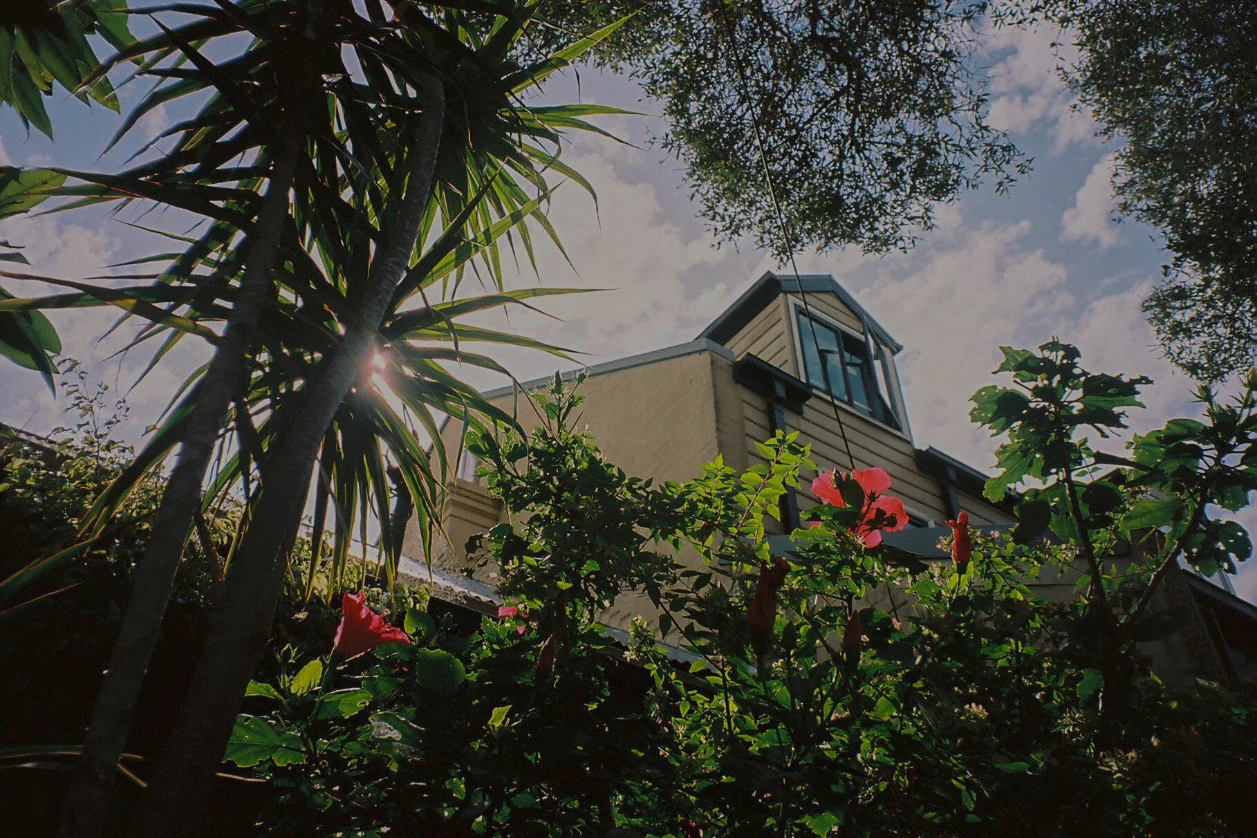 Kodak portra 160Minolta capios Riva 75w28.jpg