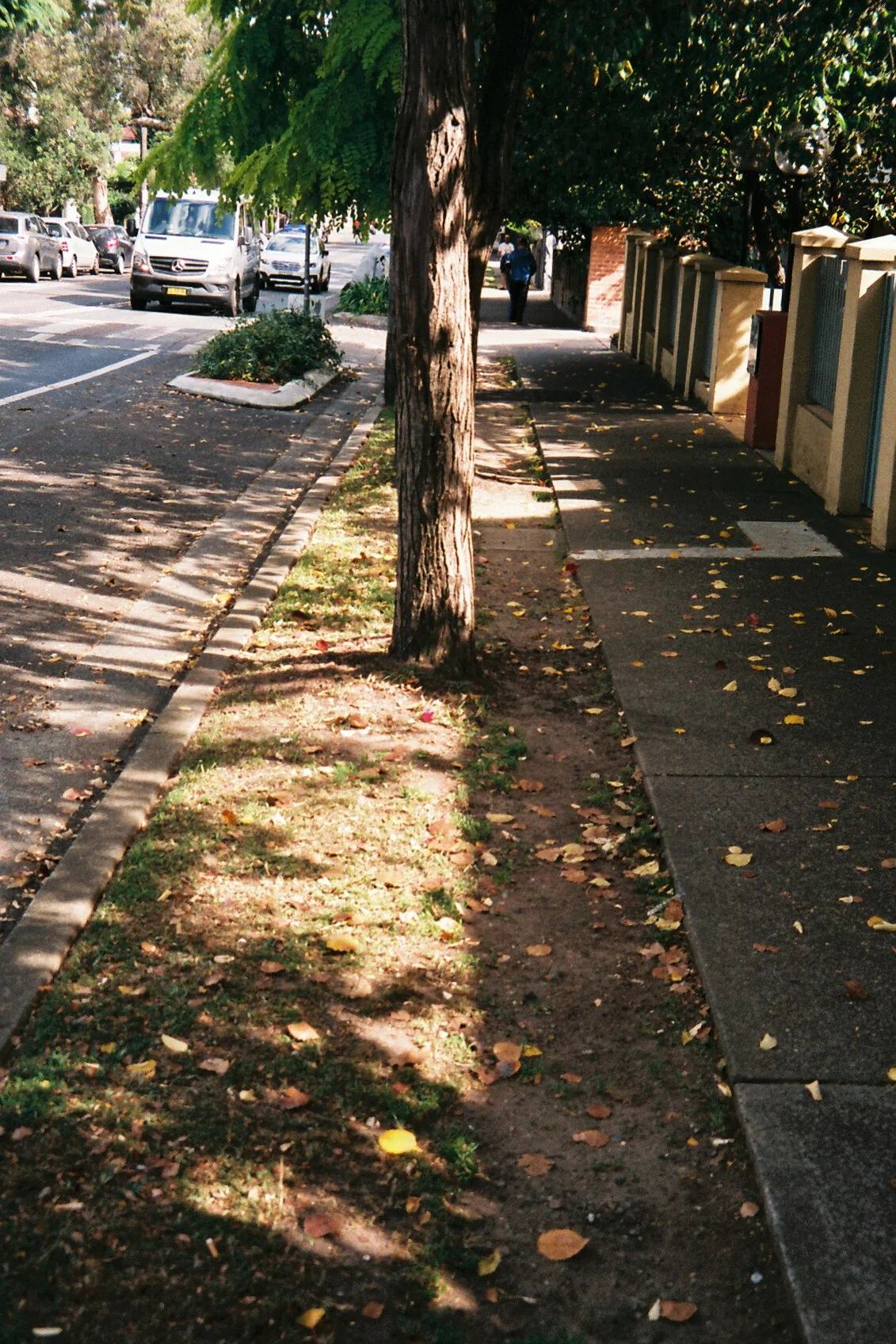 Fuji Superia X-Tra400 Minolta capios Riva 75w36.jpg