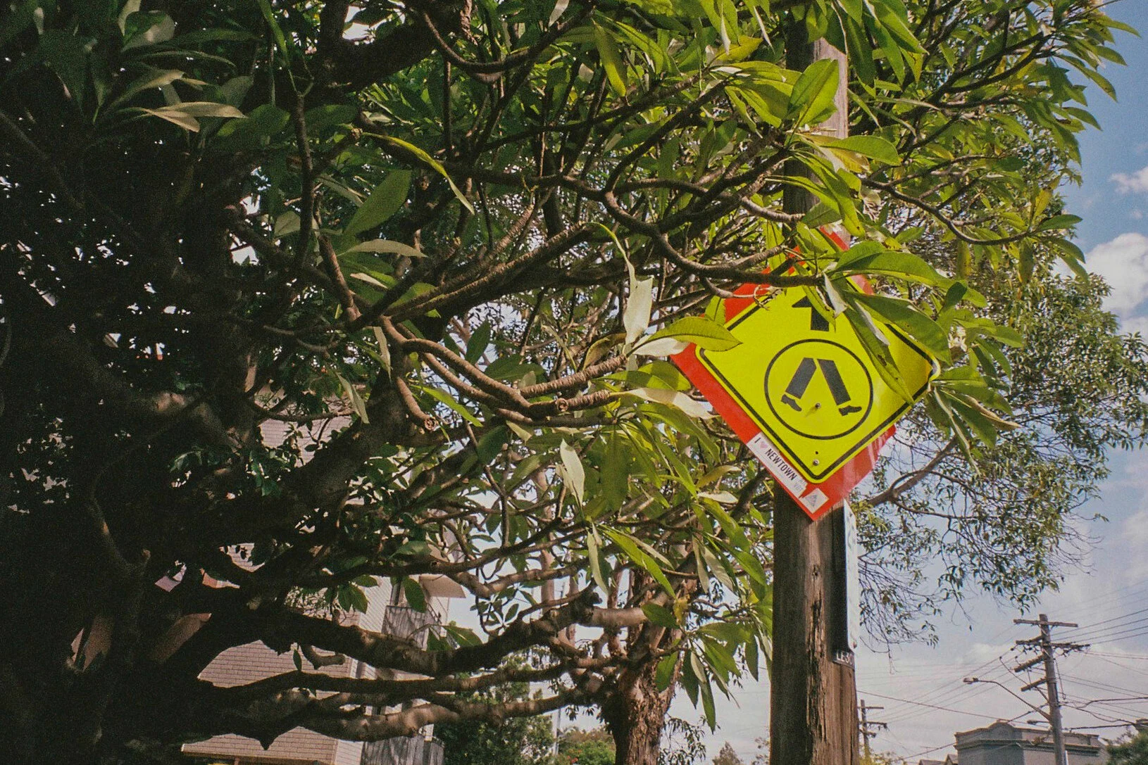 Fuji Superia X-Tra400 Minolta capios Riva 75w28.jpg