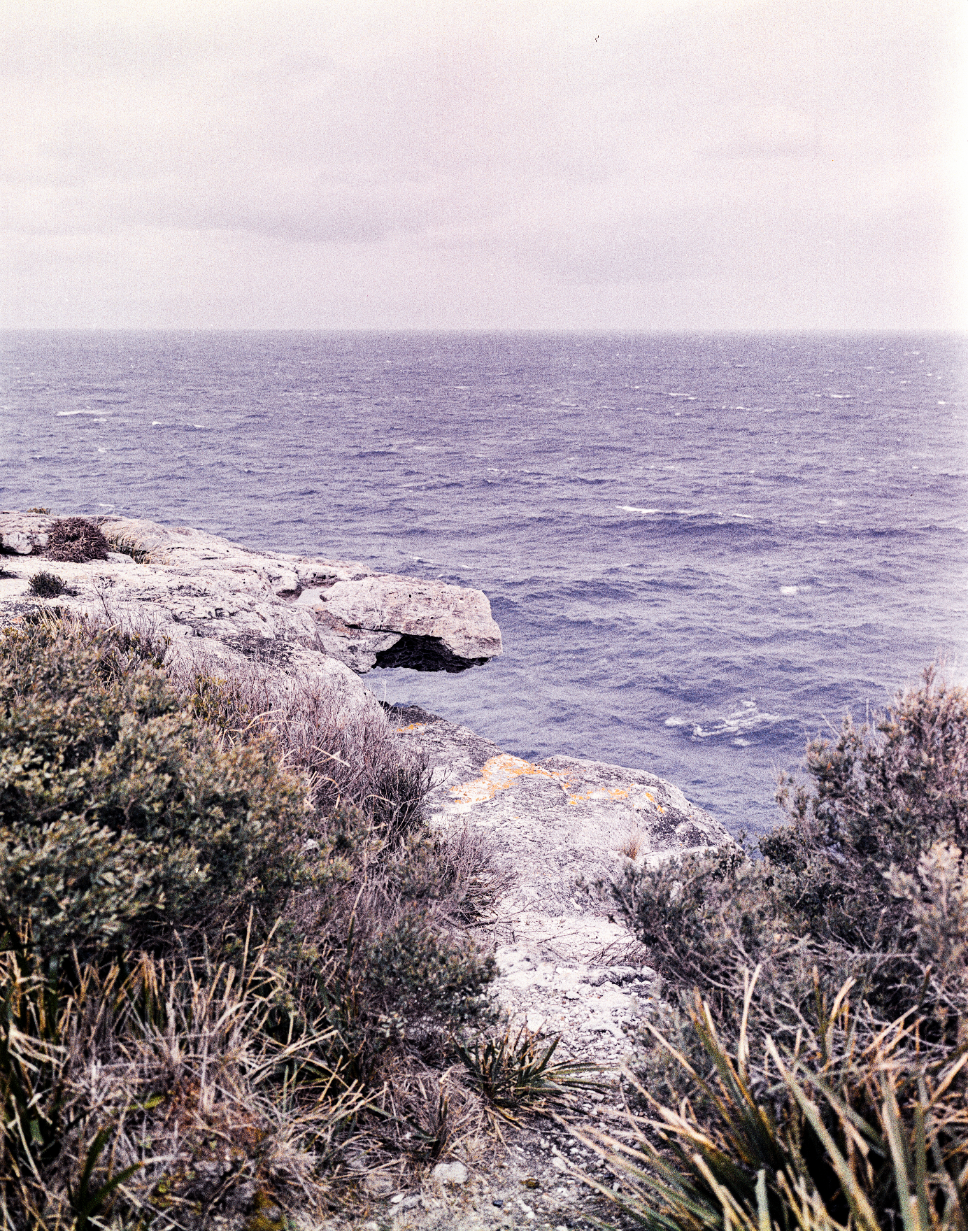 Screen Shot 2020-12-13 at 5.51.38 pm.png