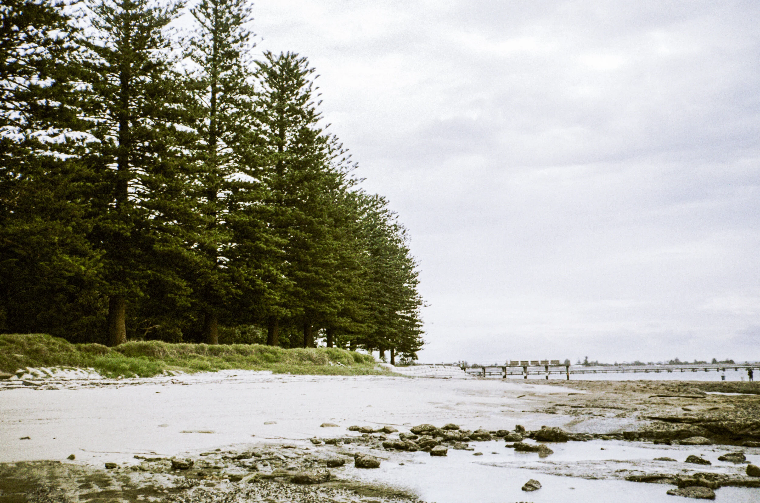 Lomography Metropolis