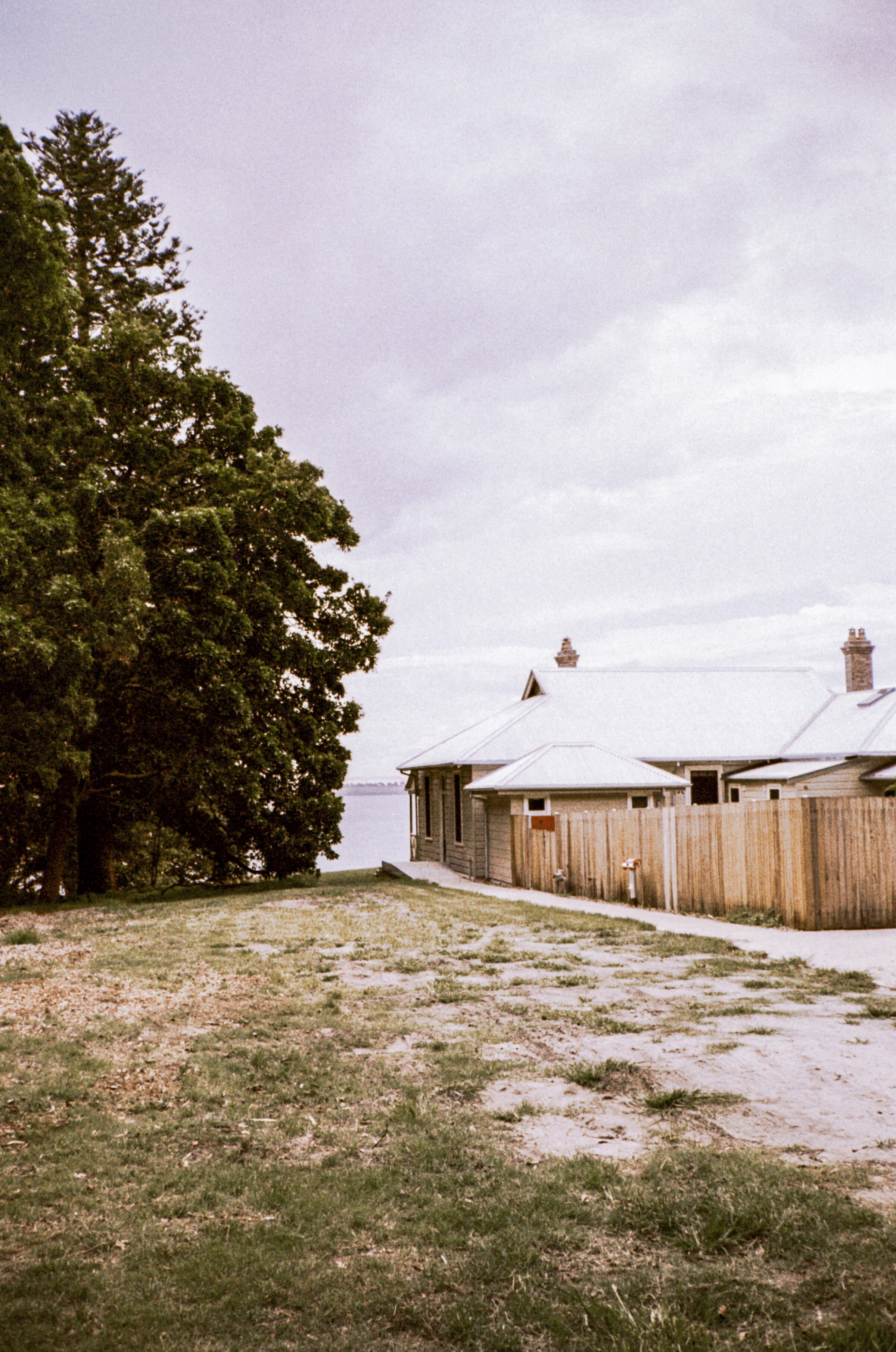 Lomography Metropolis