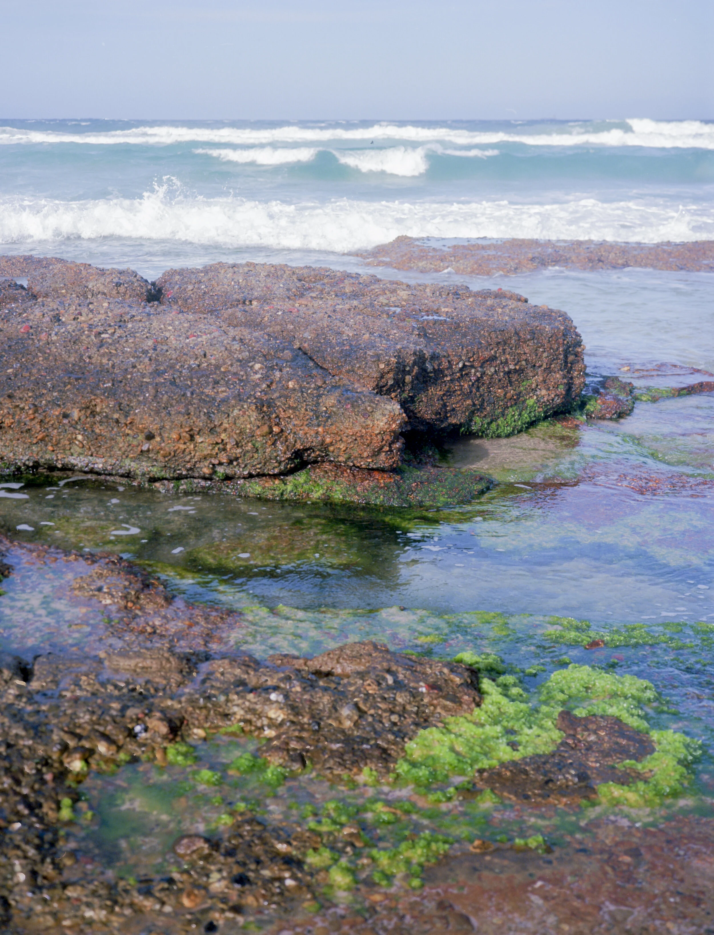 Mamiya7ii ektar100 4-4.jpg