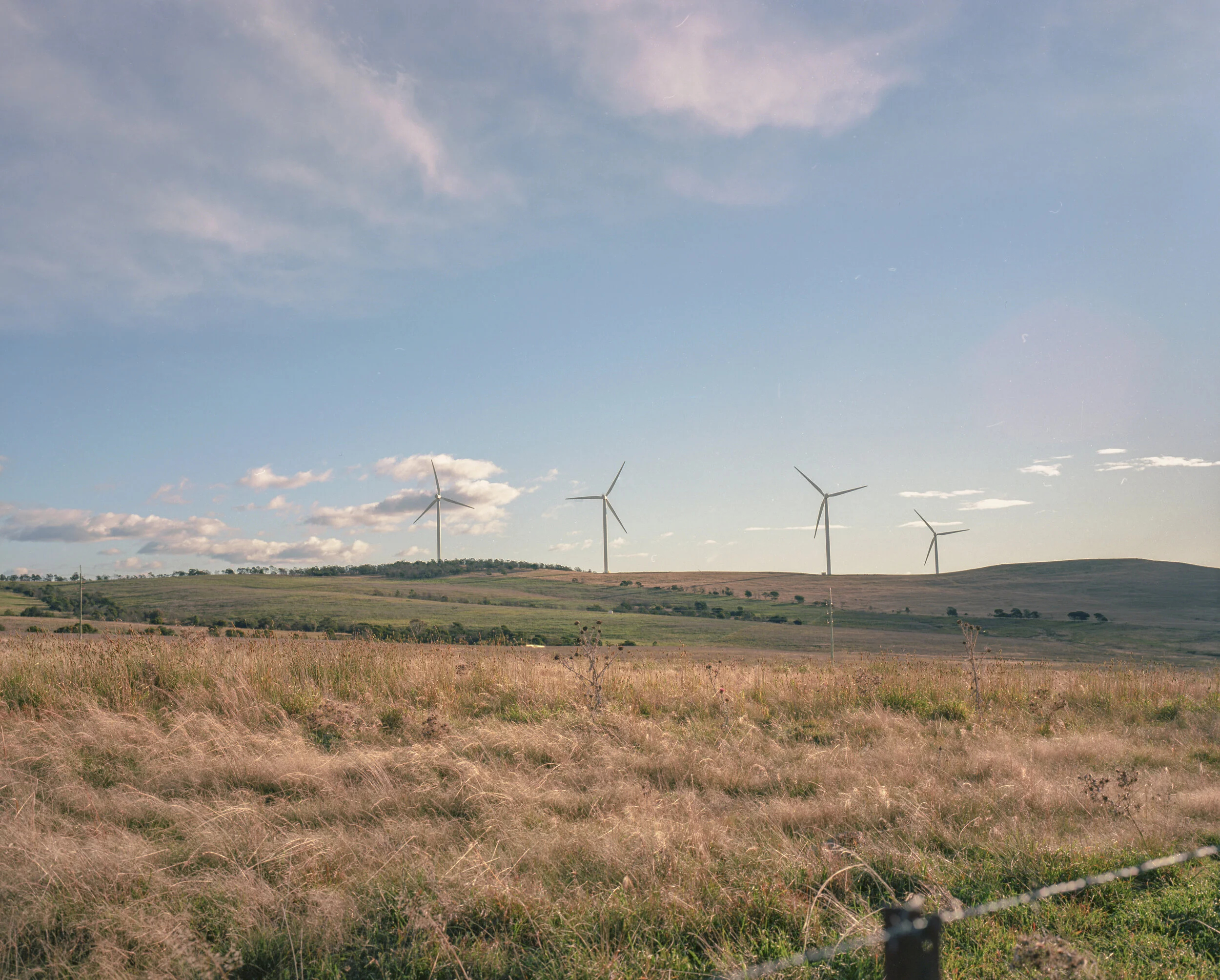 Mamiya7ii 00 7-4.jpg