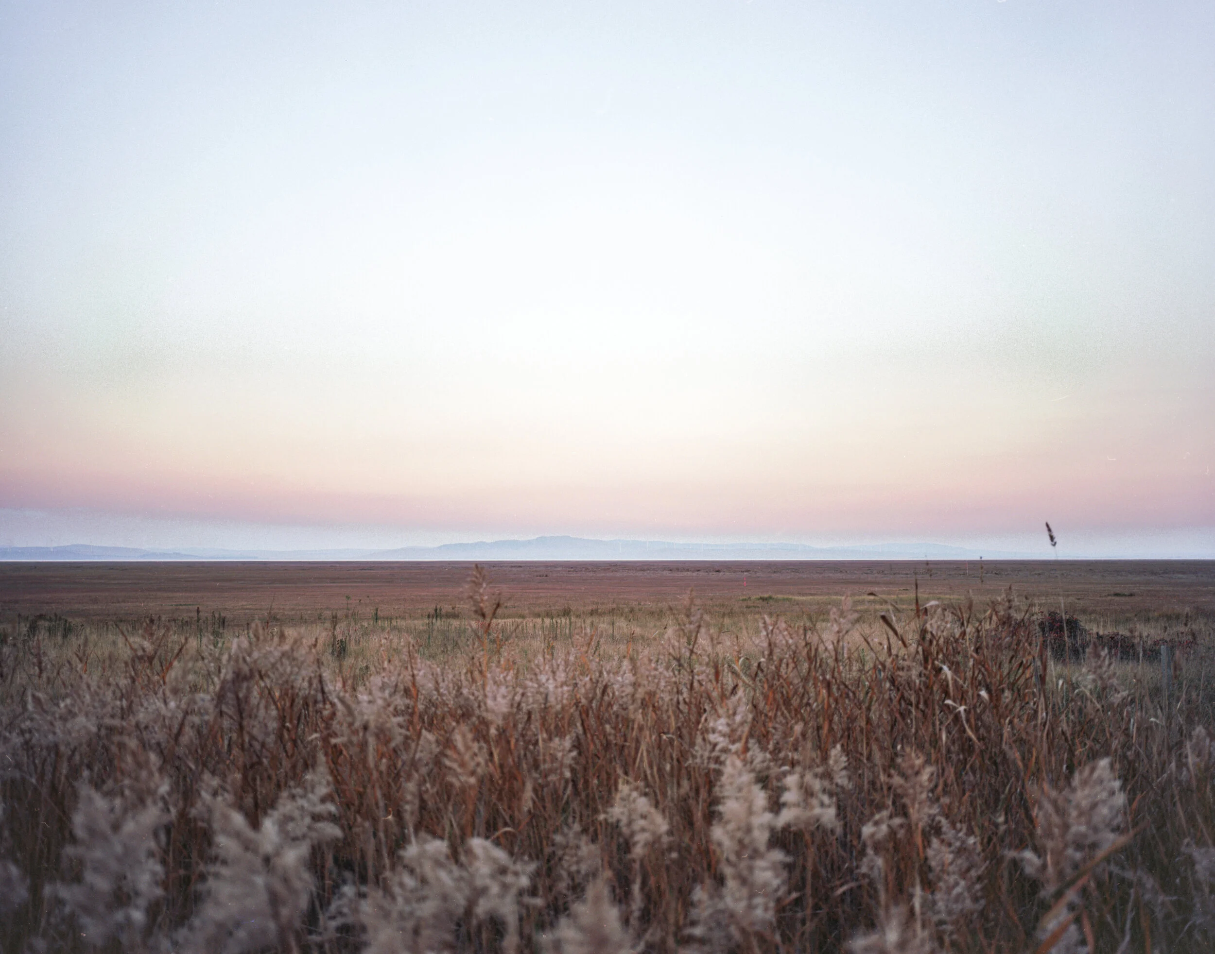 Mamiya7ii 00 9-2.jpg