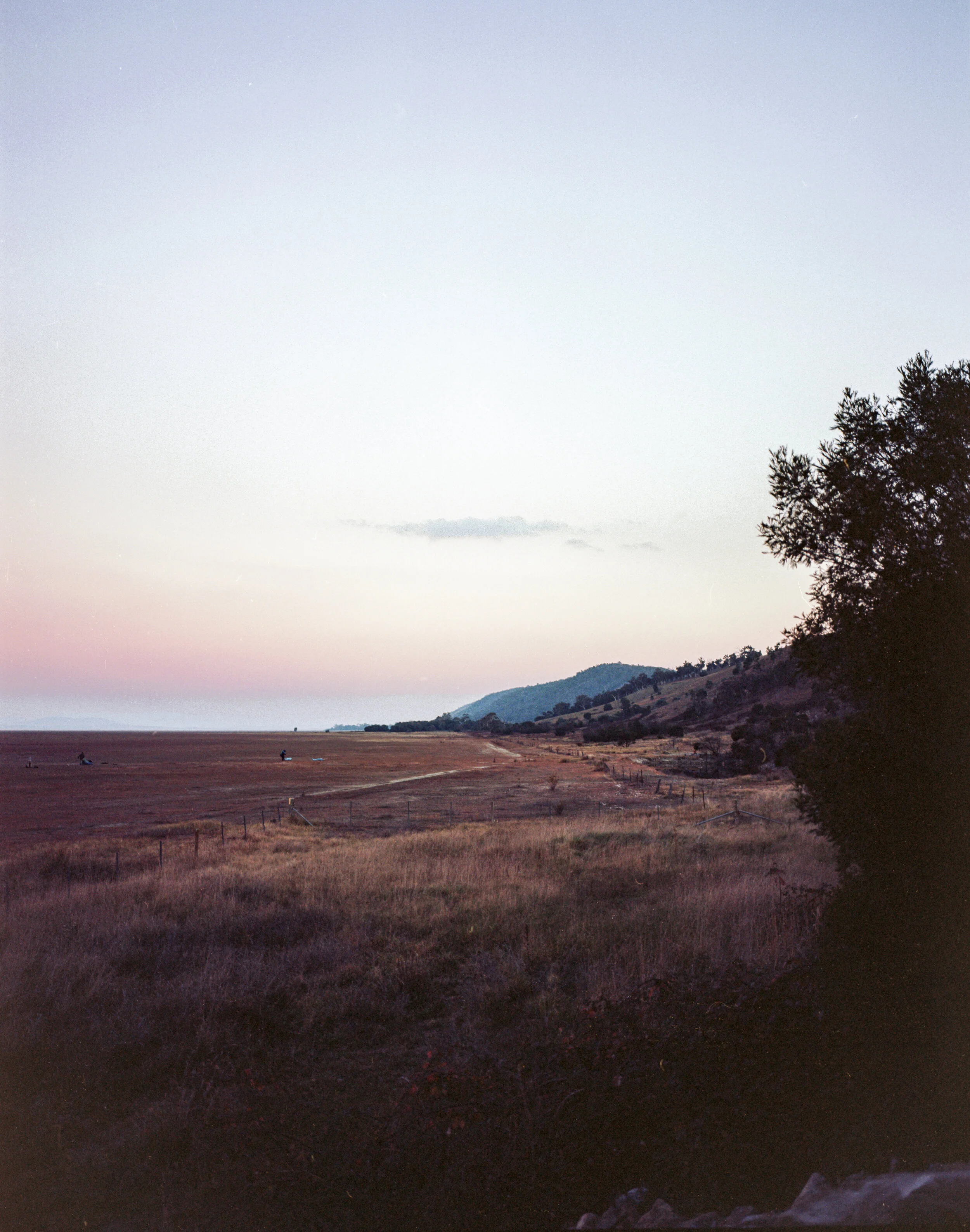 Mamiya7ii 00 8-2.jpg