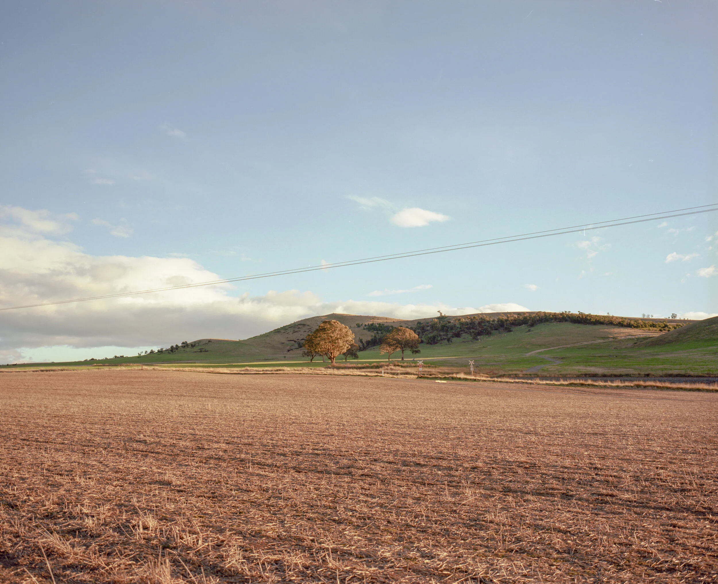 Mamiya7ii 00 3-6.jpg