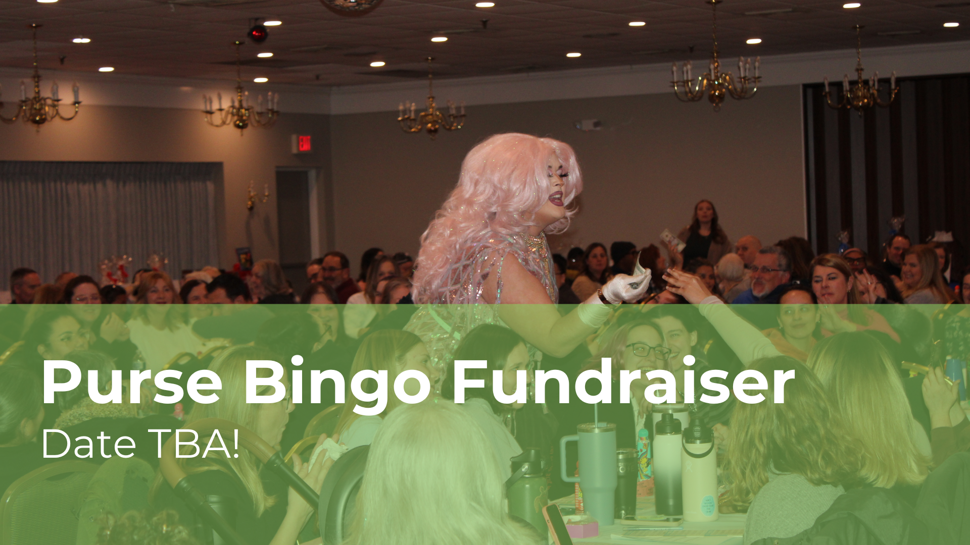 Website Header Image (14).png