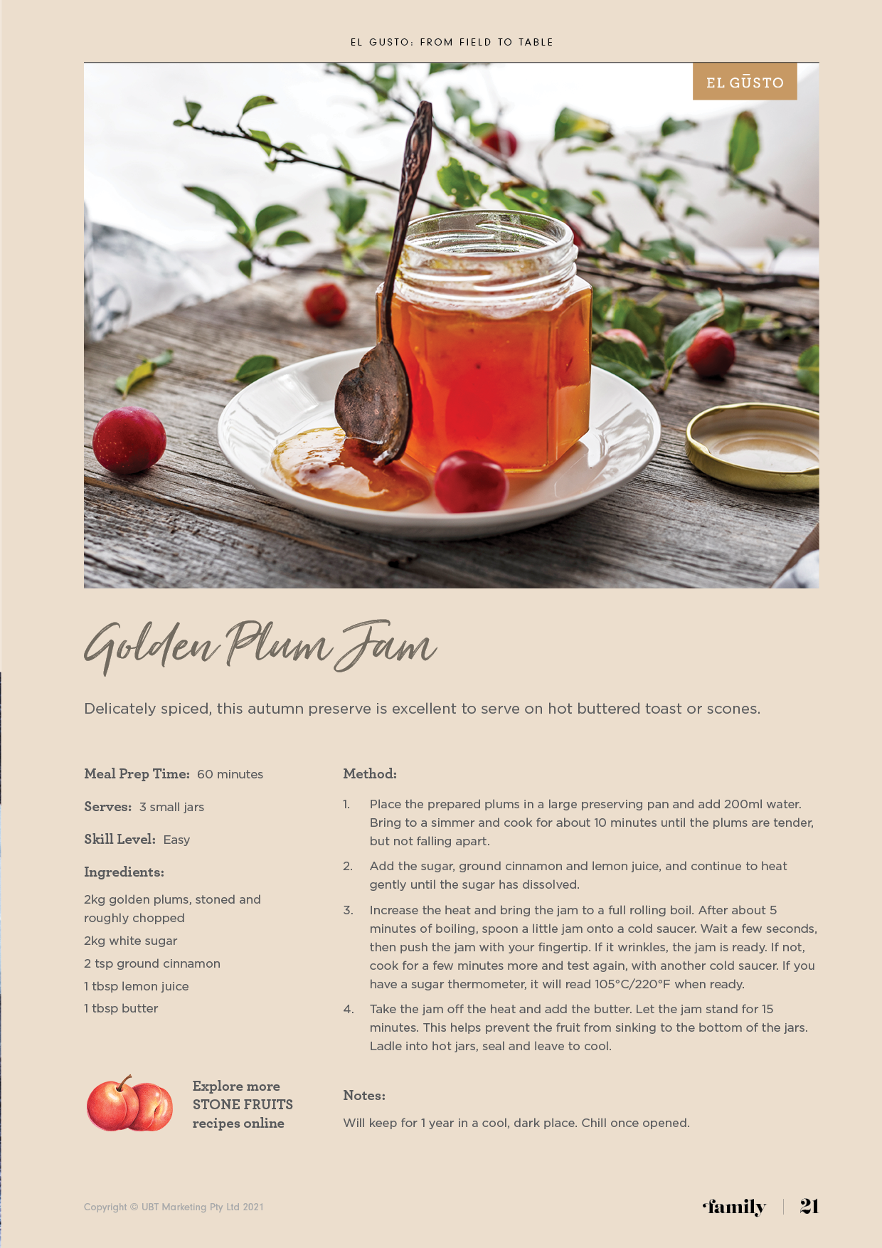 NA 2021 Q2 Family Mag21.png