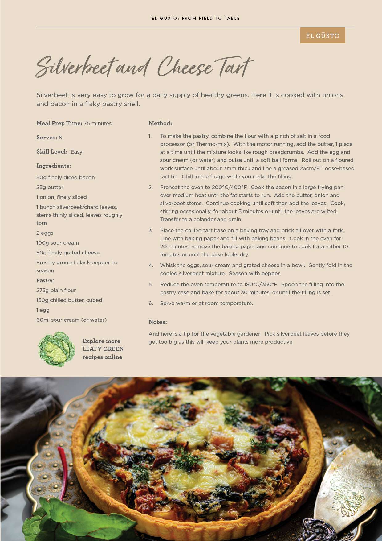 NA 2021 Q2 Family Mag19.png