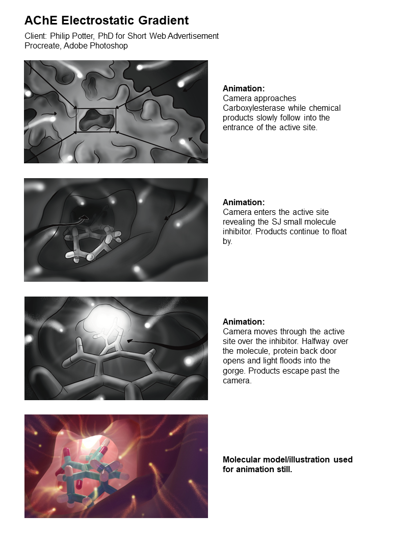 Slide16.PNG