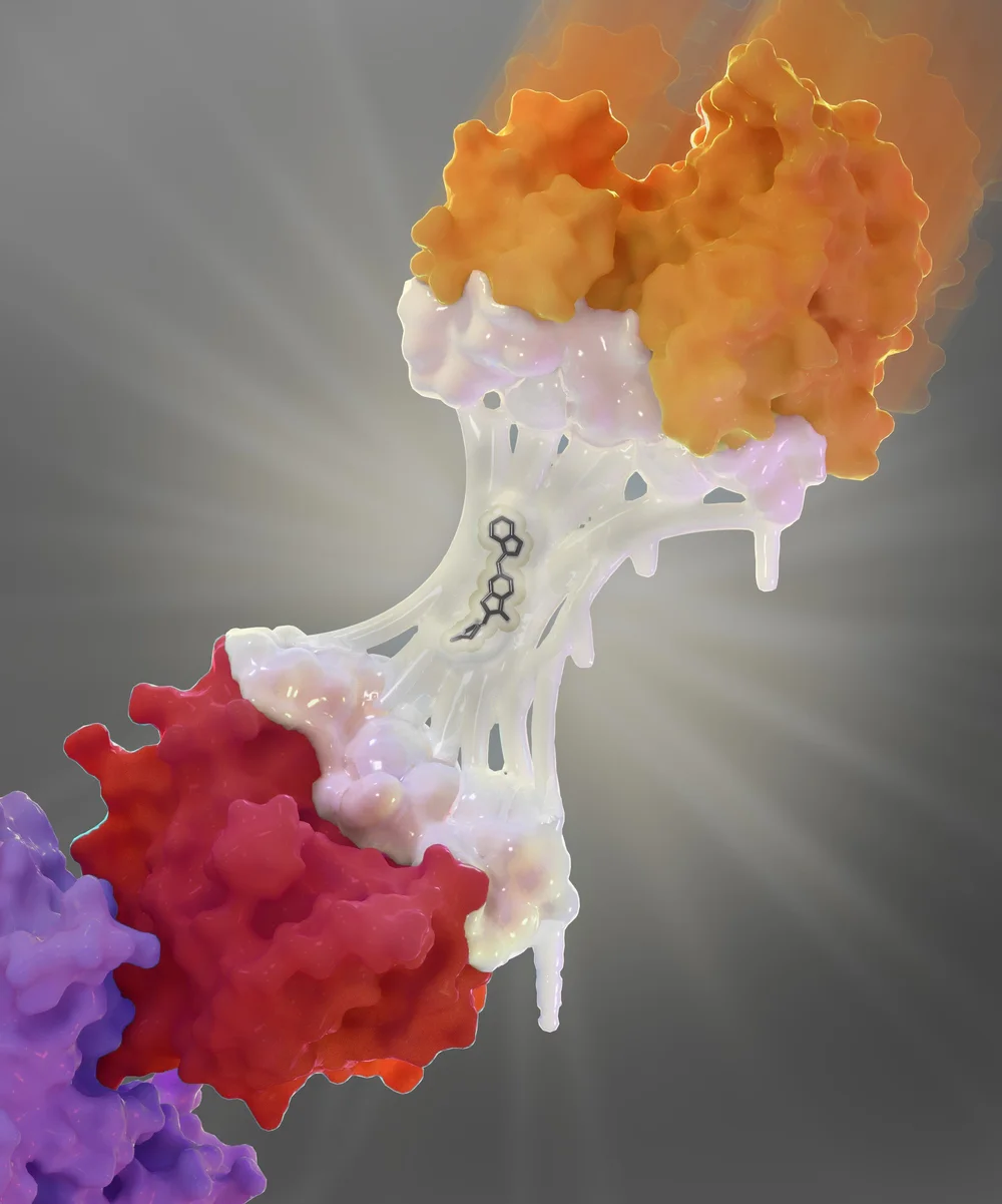 NatChemBio_forPressRelease.jpg