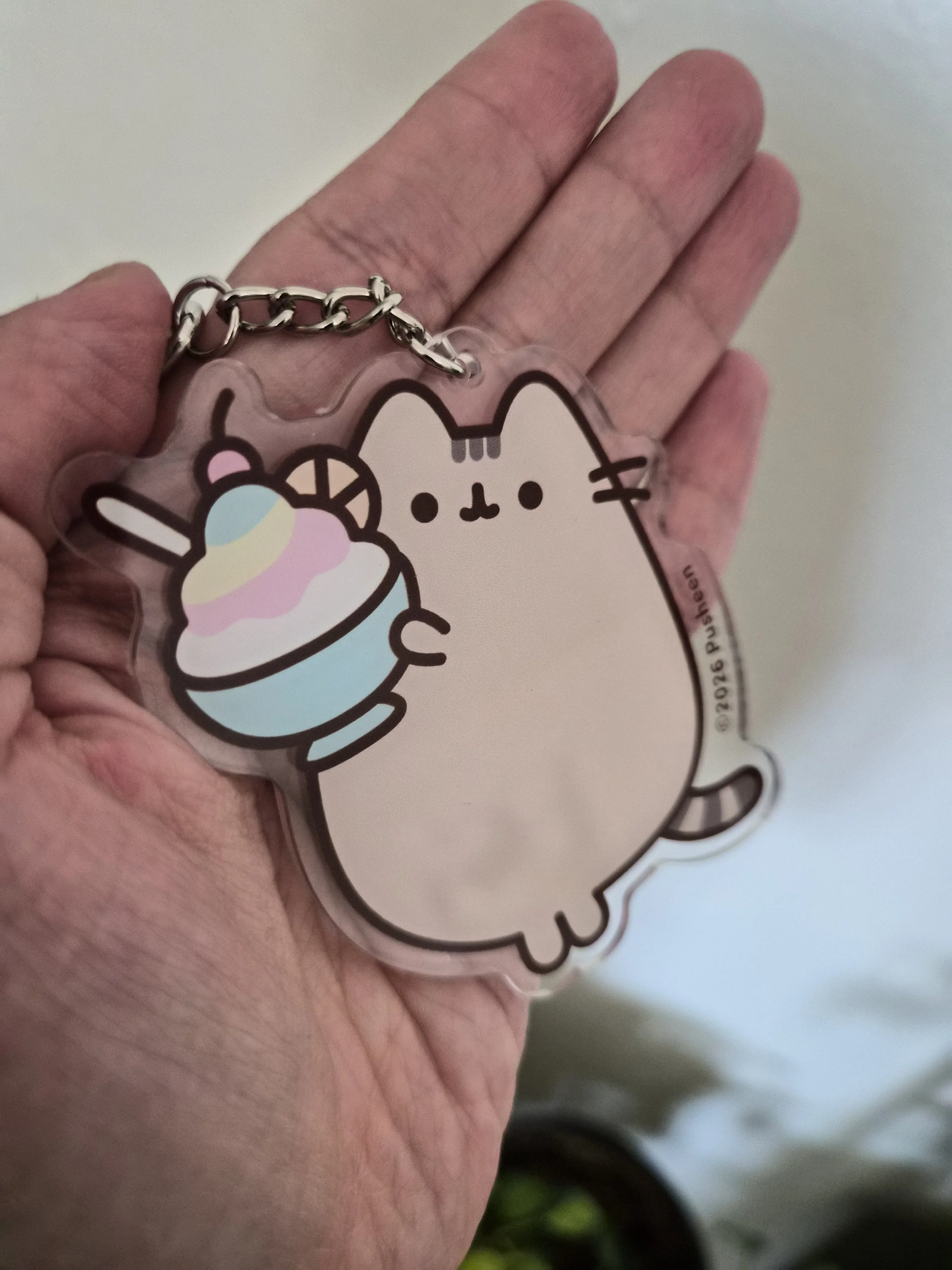 Pusheen x tsun scoops 3" Acrylic Keychain (Pre-Order)