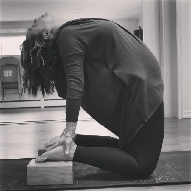 Fall-ing in love with Autumn 🍂🍁🍂🍁

October and November 2024 Offerings

@harlemyoga 
-10/20 Sunday 9am HYS Legacy Class
-10/27 Sunday 9am HYS Legacy Class
-11/17 Sunday 9am HYS Legacy Class

@hudsonvalleybooksforhumanity 
- most Wednesdays 6:30pm