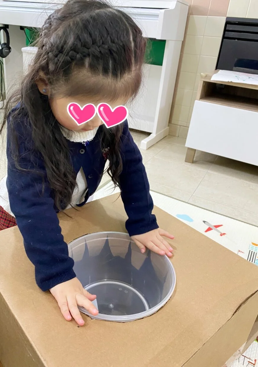 段ボールで洗濯機 カナダの主婦すにょん