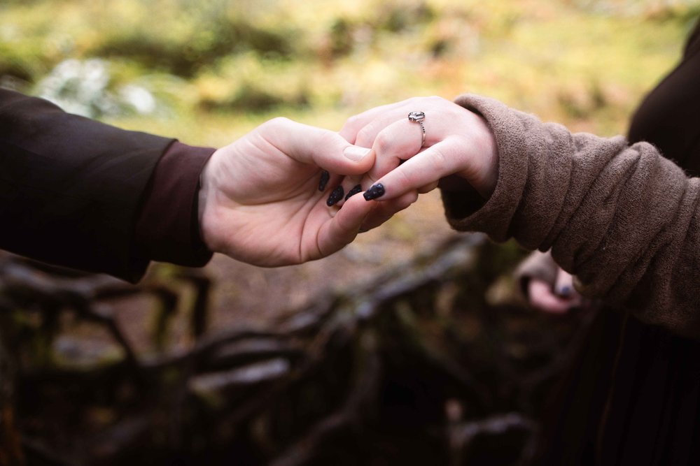 travel-weddings-ashley-steven-hoh-rainforest-engagement-web-8146.jpg