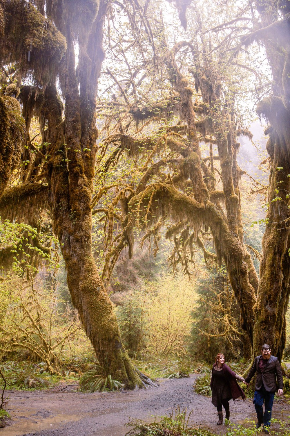 travel-weddings-ashley-steven-hoh-rainforest-engagement-web-7687.jpg