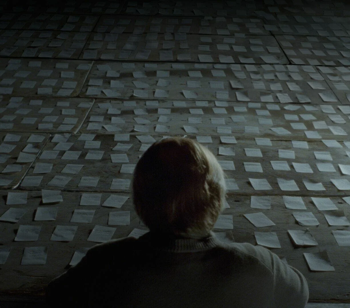 I’ll Show You… Synecdoche, New York (2008) episode artwork