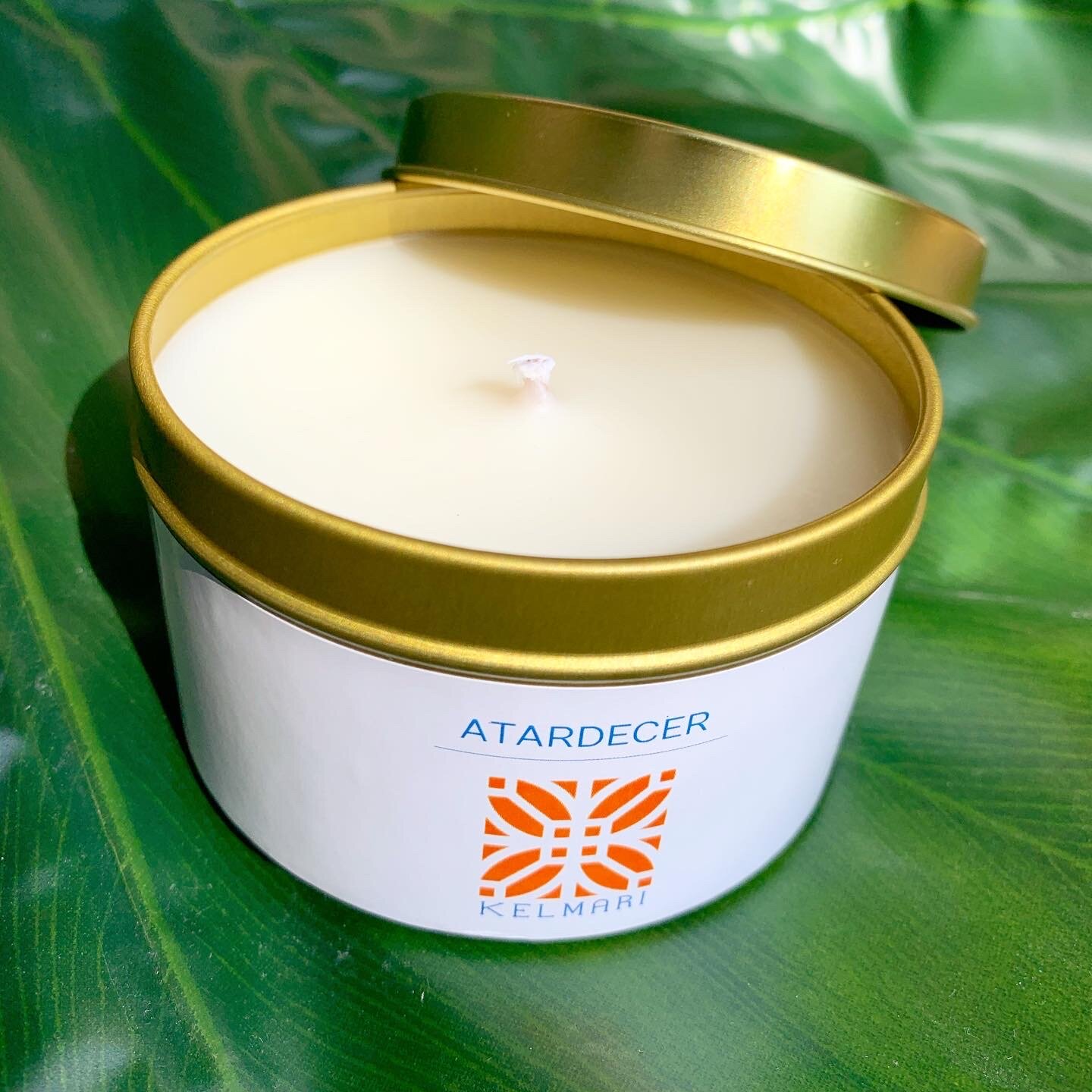 24A0C85A-4F8C-4E70-8624-6F4C0895A190