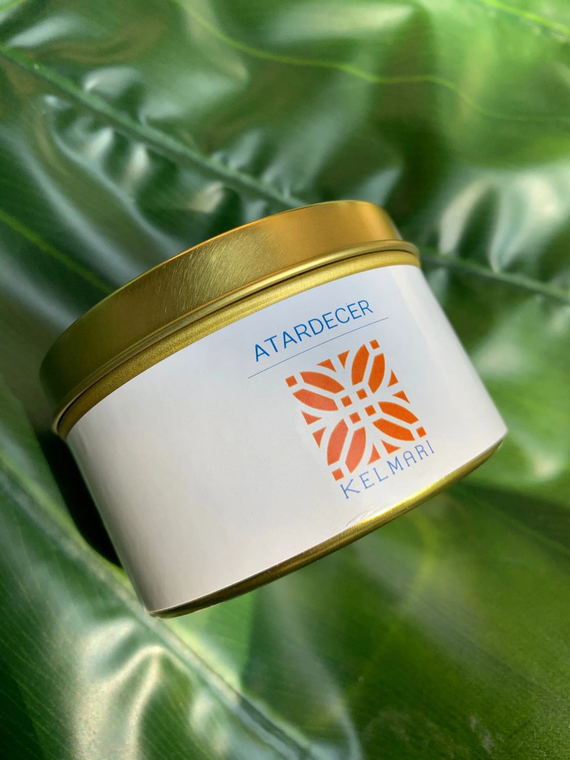 EFC16B8B-2FE5-4BCB-86A0-FEB146A96A0B