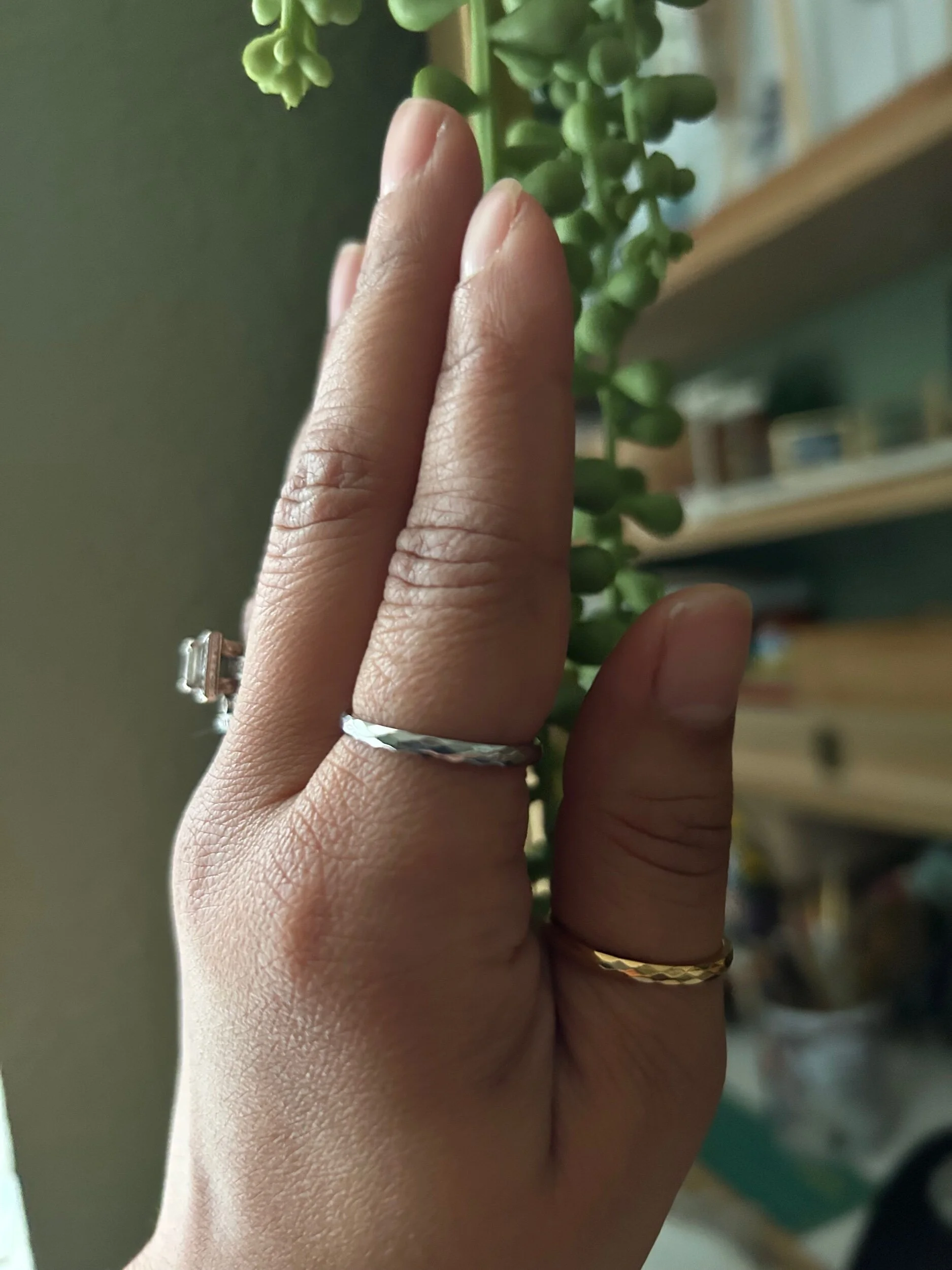 AC86FA61-0669-4897-B623-AF6A695E7D27