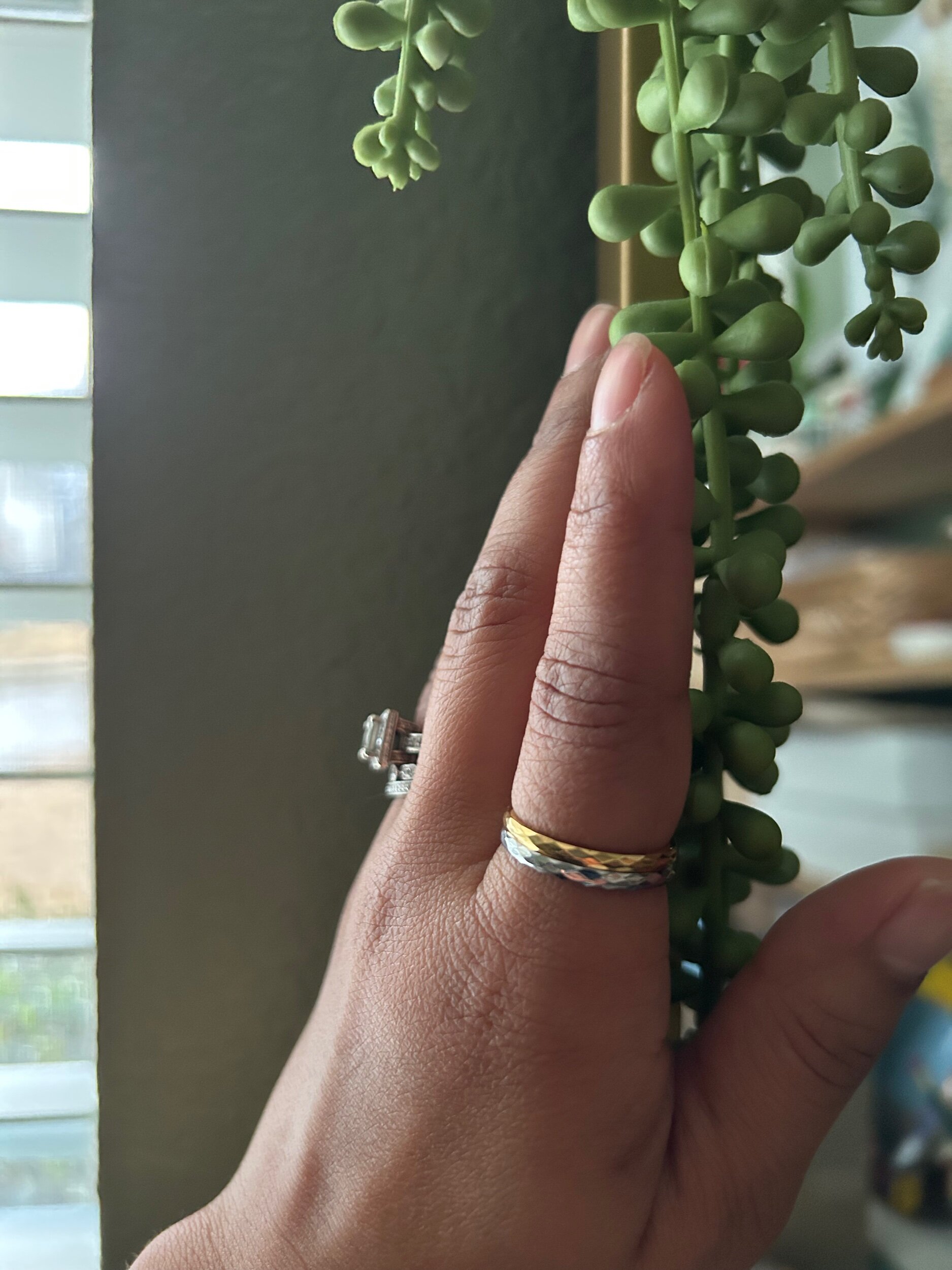 F676E0C1-B8C9-4418-B0C6-7B2B0D02BC64