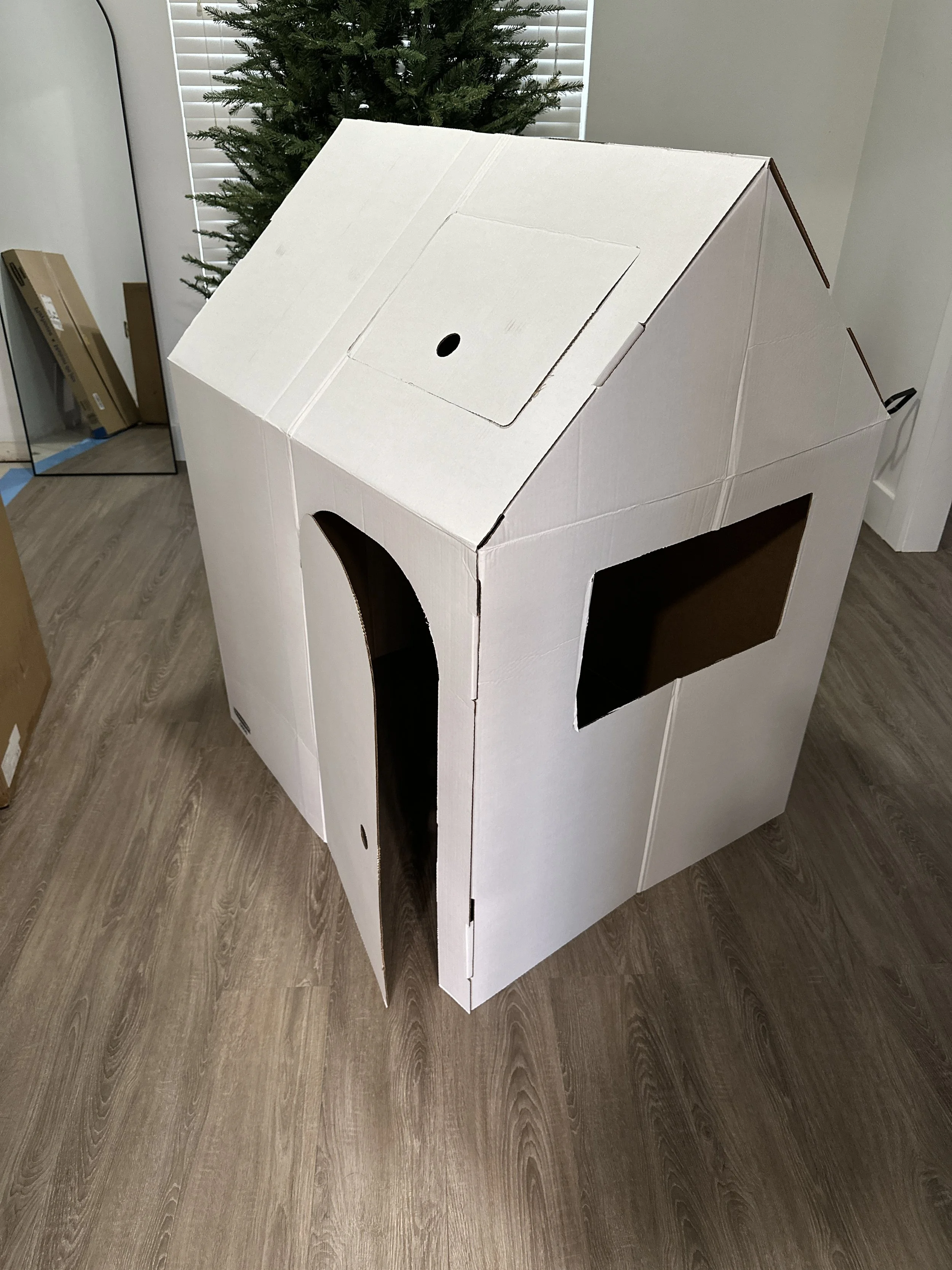 giant cardboard house.JPG