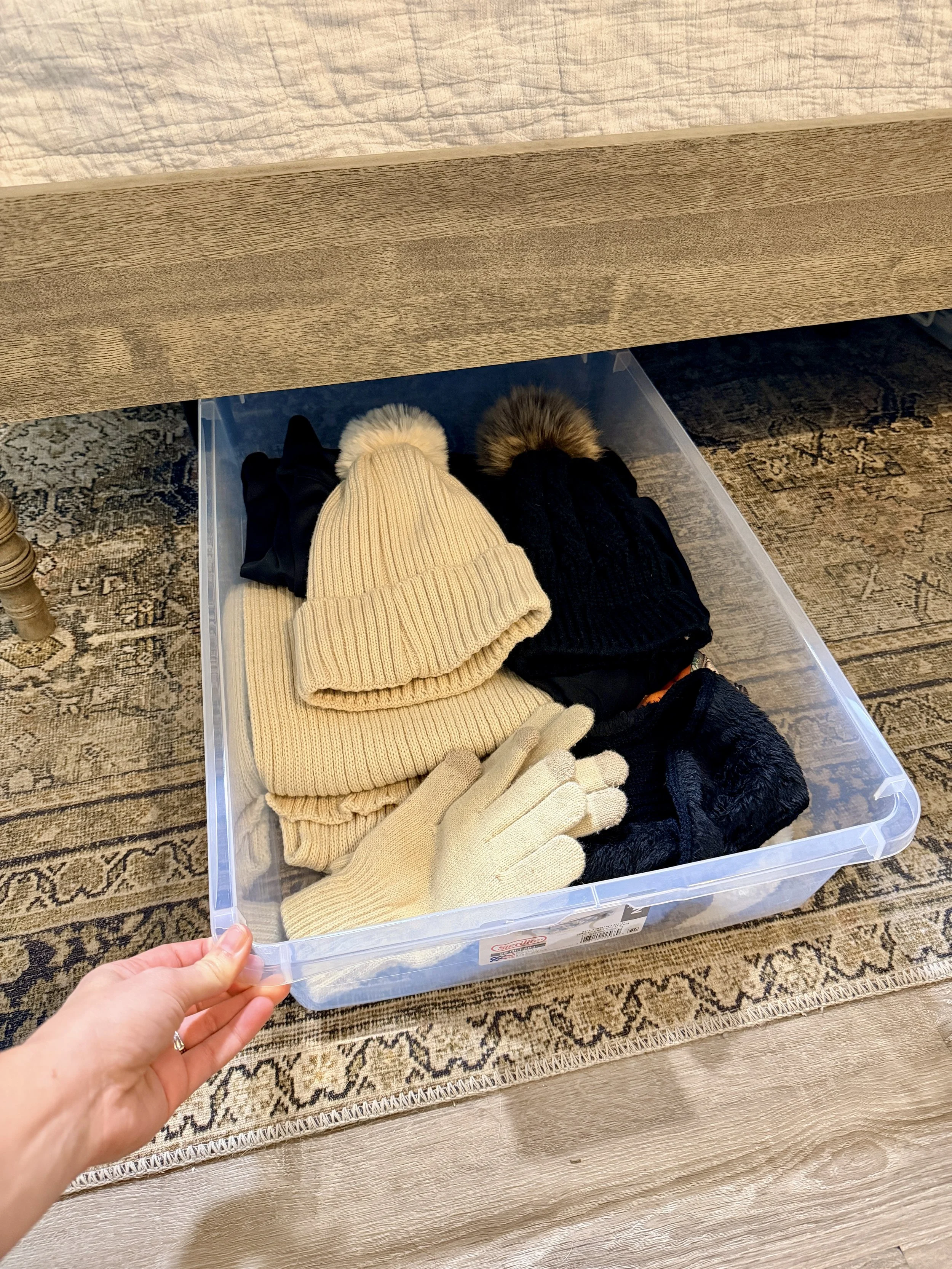 under bed storage tote.jpg