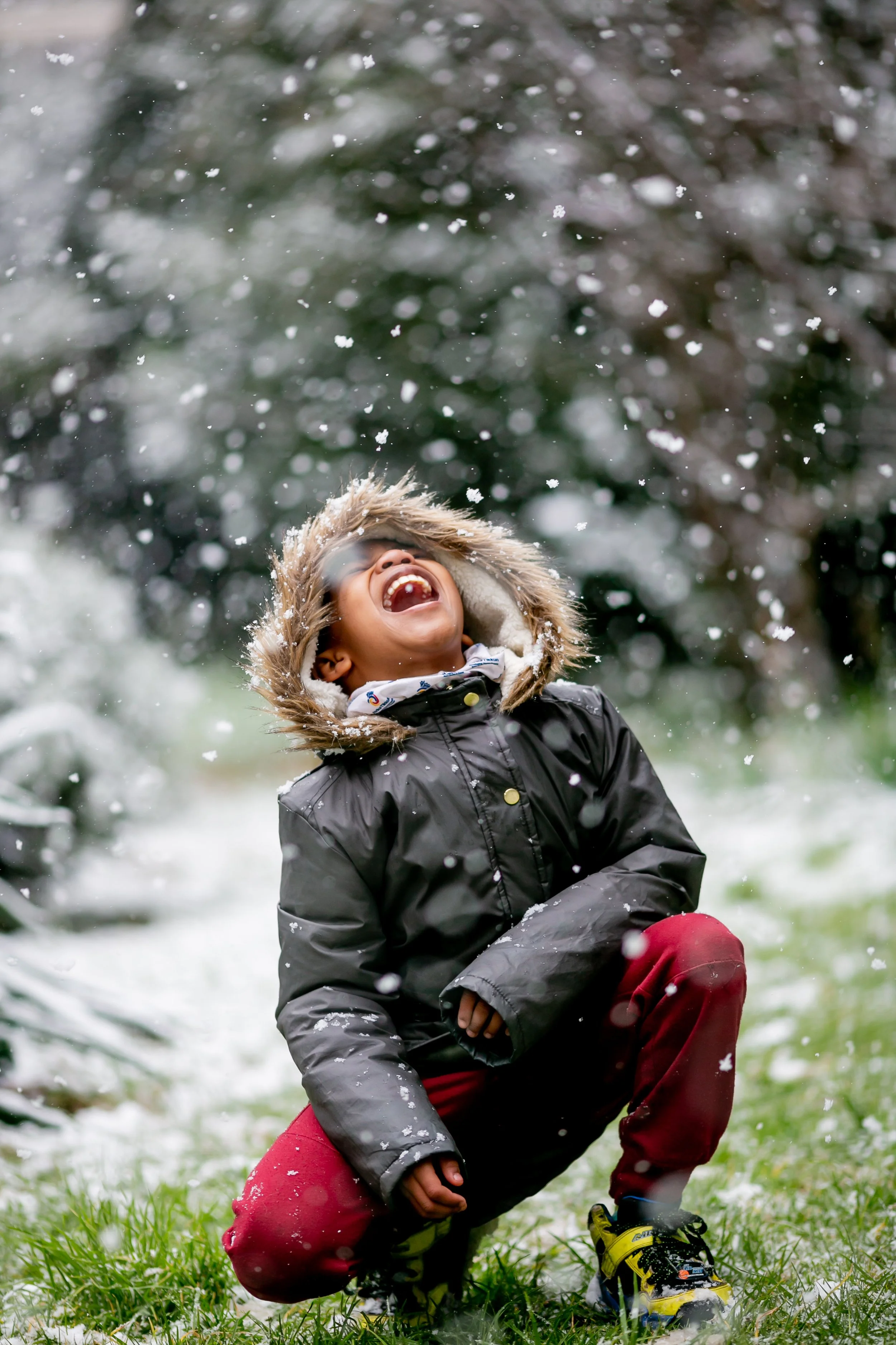 Joburg snow.jpg