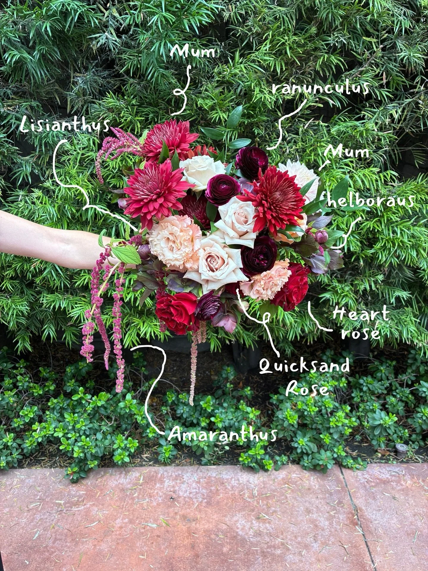 Designing Andrea&rsquo;s bridal bouquet filled with rich, romantic blooms&hellip; mums, ranunculus, quicksand + heart roses, lisianthus, helleborus, and trailing amaranthus. Follow along on @rufflepetalshop to see this bouquet preserved forever! 

If