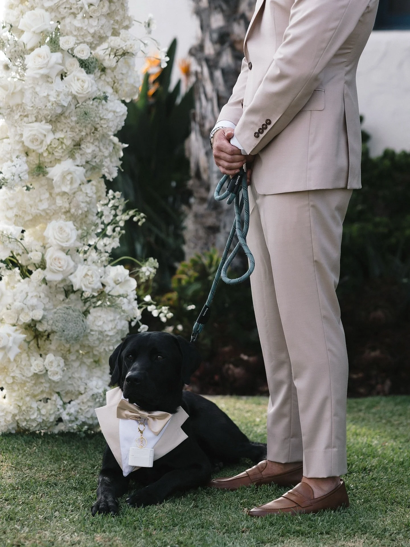 🐾✨ Dressed to impress and ready to deliver the rings because every wedding needs a four-legged best man. 💍🐶

Planning: @ruffleeffect
Florals : @penelopepotsfloraldesign
Venue : @olehansonbeachclub
Caterer : @24carrotscatering
Photo : @eclecticeleg
