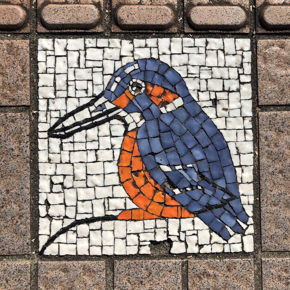mosaickingfisher.jpg